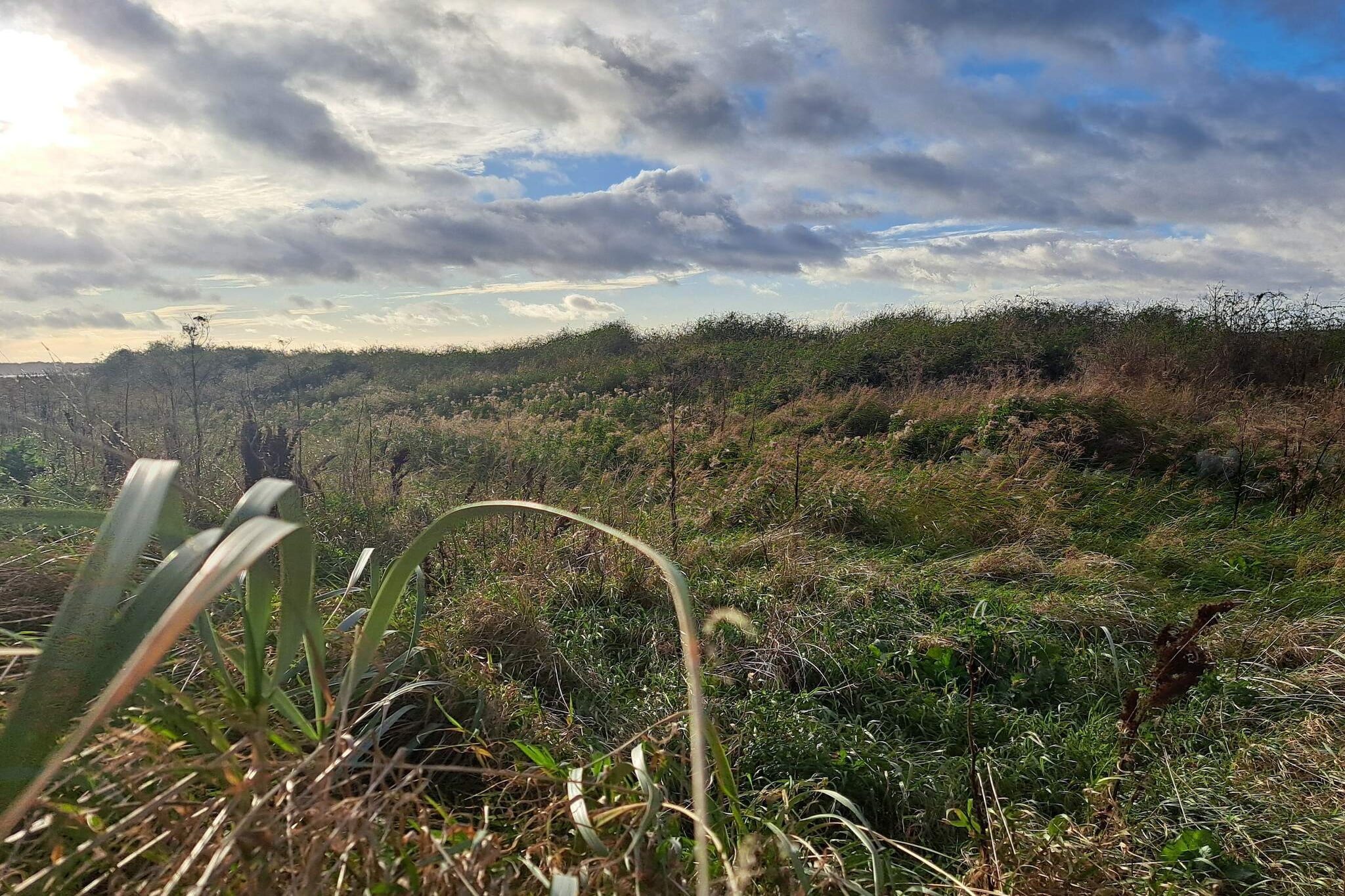 6 Personen Ferienhaus in Kalundborg-By Traum