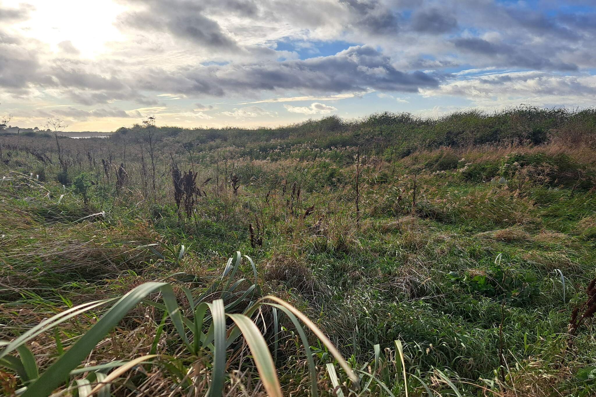 6 Personen Ferienhaus in Kalundborg-By Traum-Nicht zugeordnet