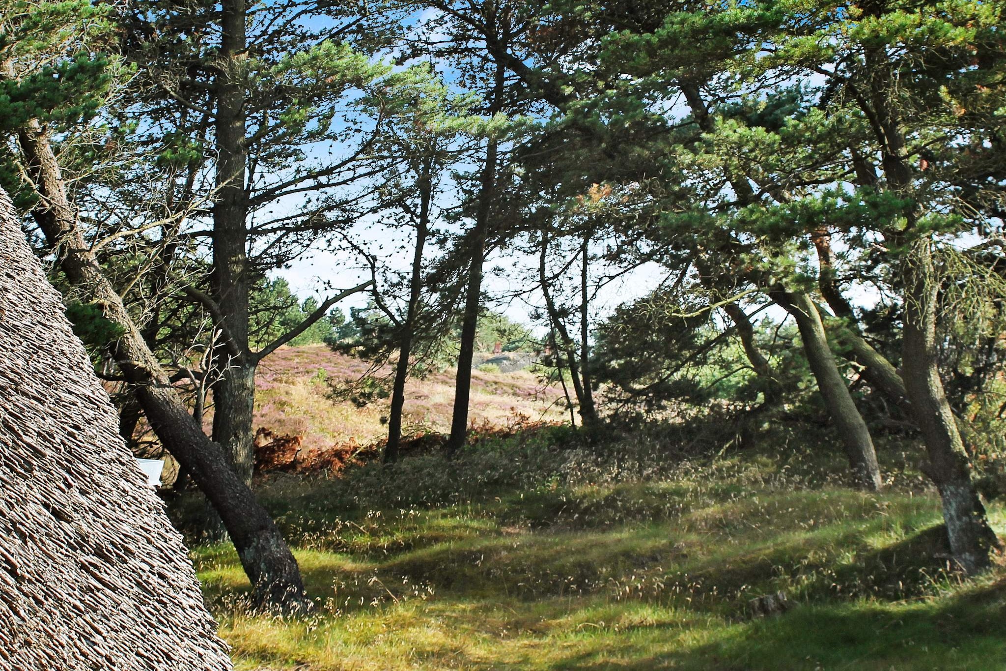 6 persoons vakantie huis in Rømø-By Traum