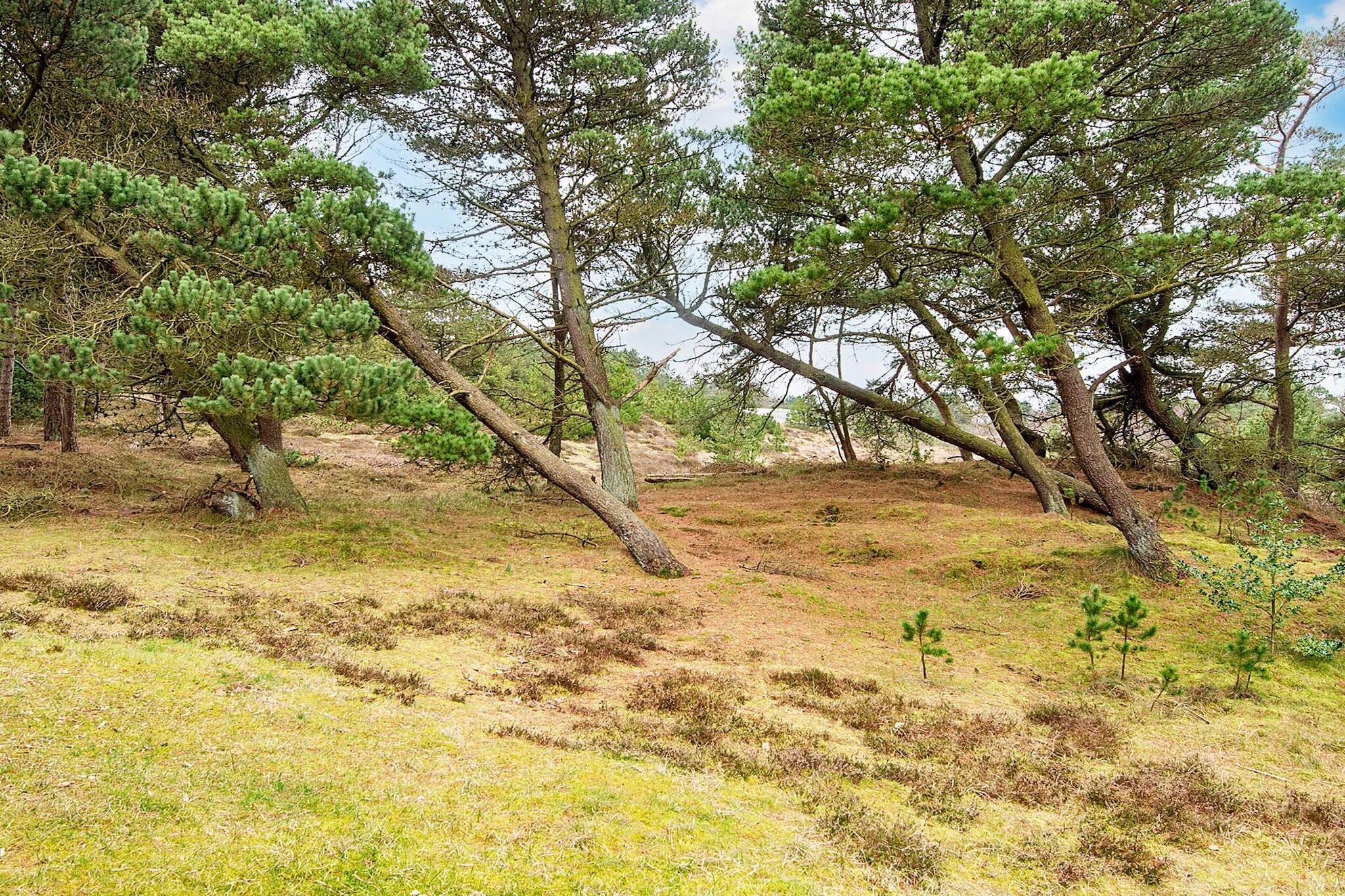 6 persoons vakantie huis in Rømø-By Traum - Uitzicht