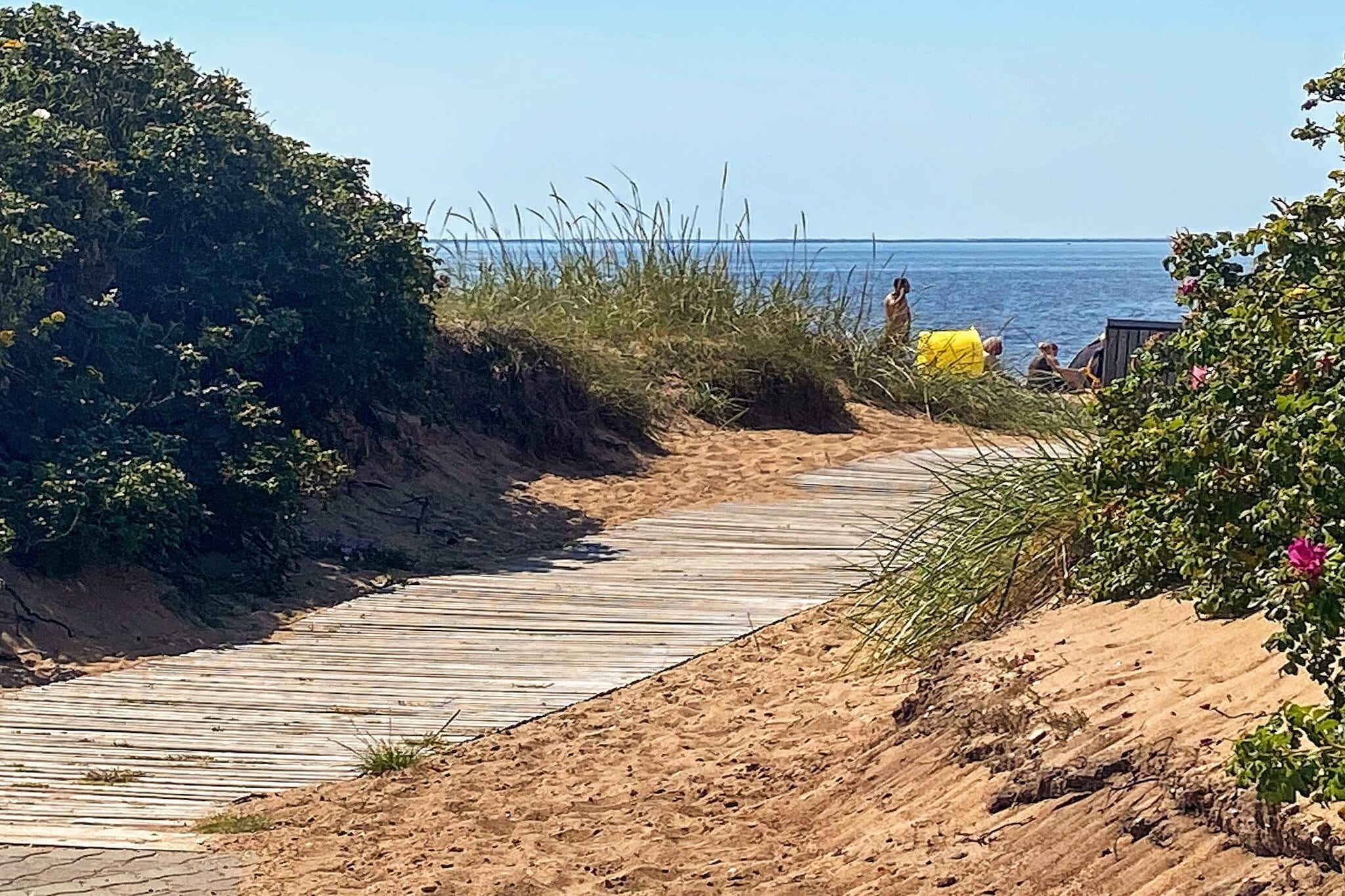 6 persoons vakantie huis in Tarm - Uitzicht