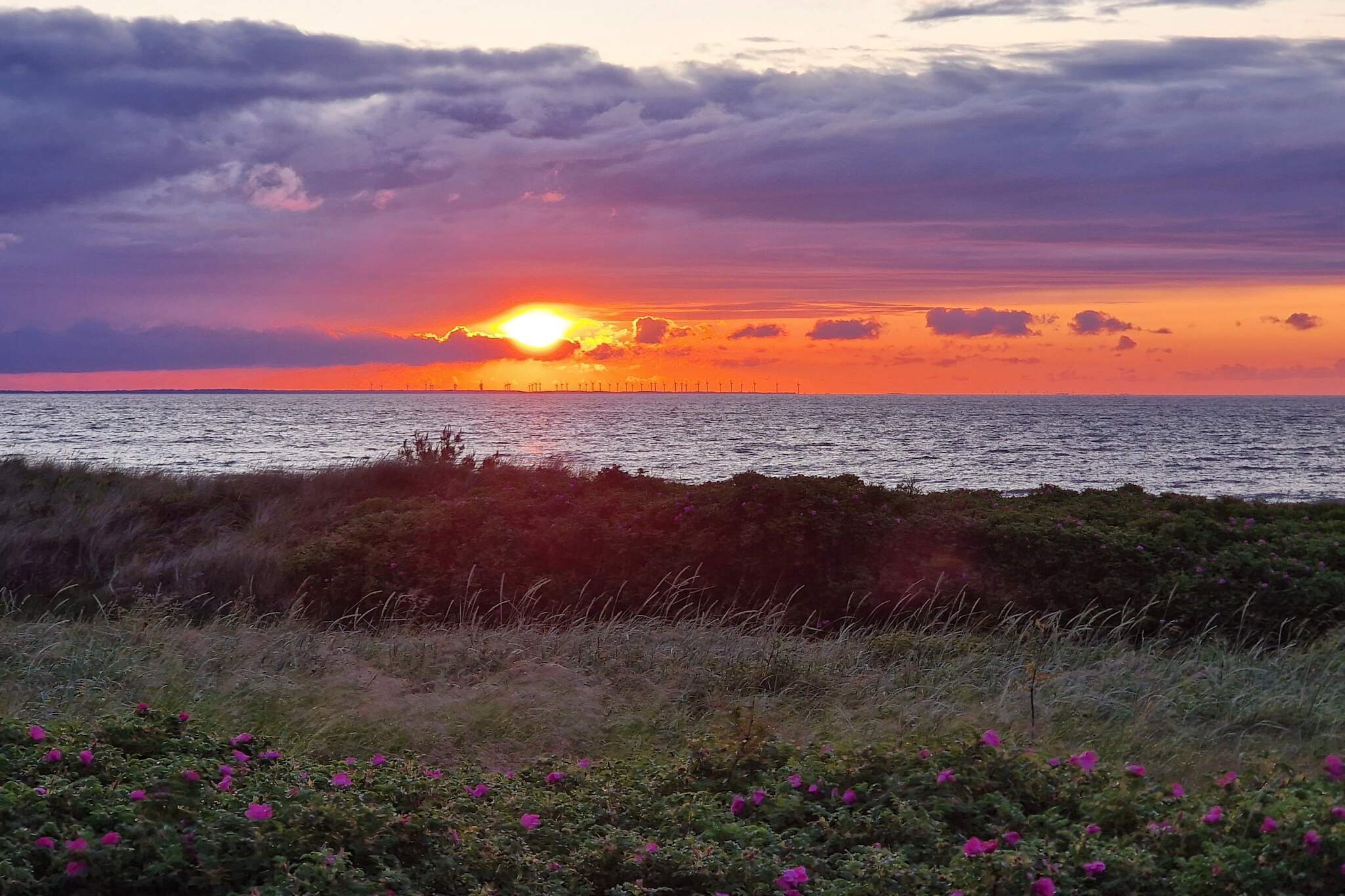 8 persoons vakantie huis in Allingåbro-By Traum-Waterzicht