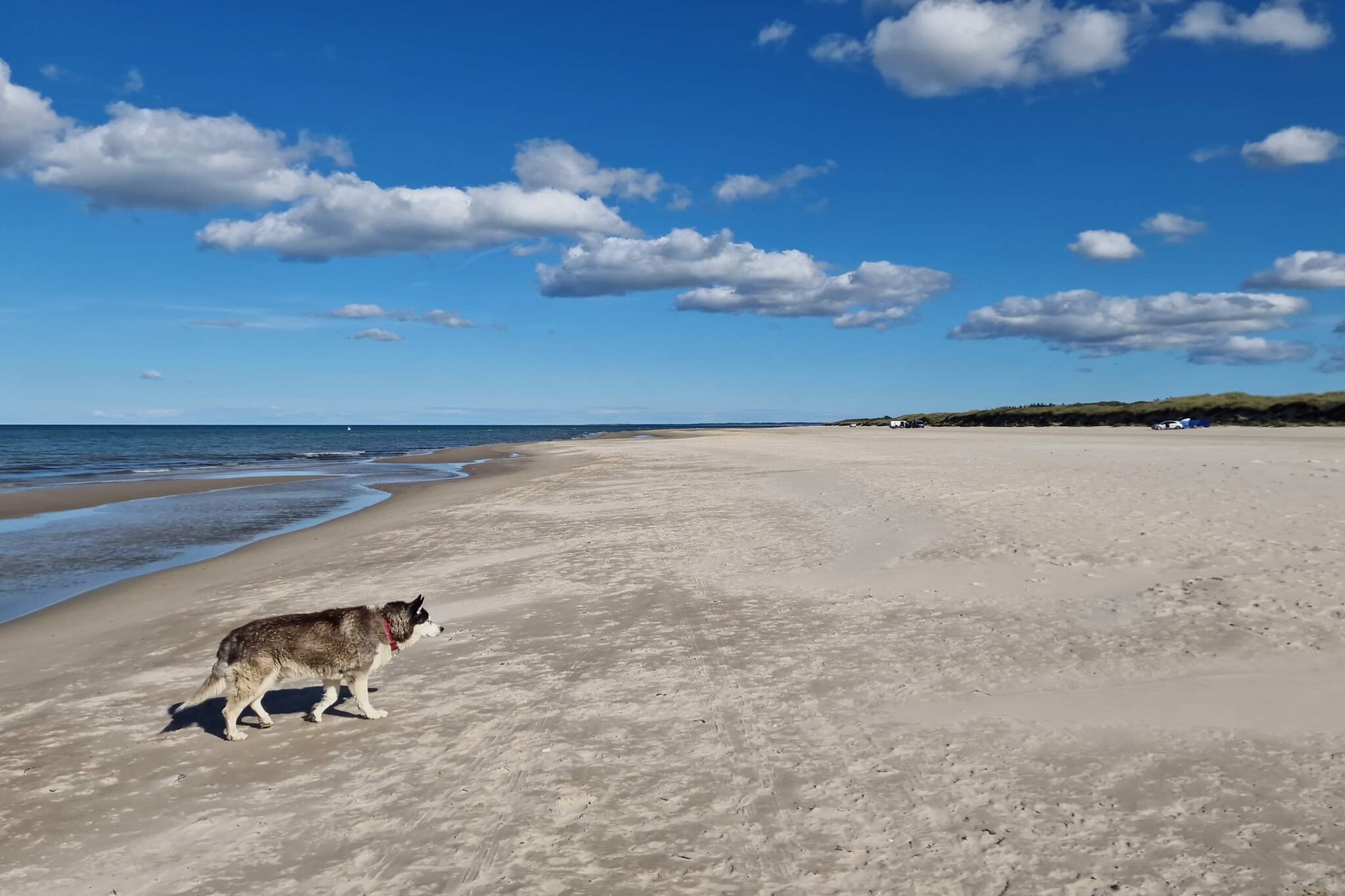 Strandflucht mit Spa -- By Traum Ferienwohnungen - Wasserblick
