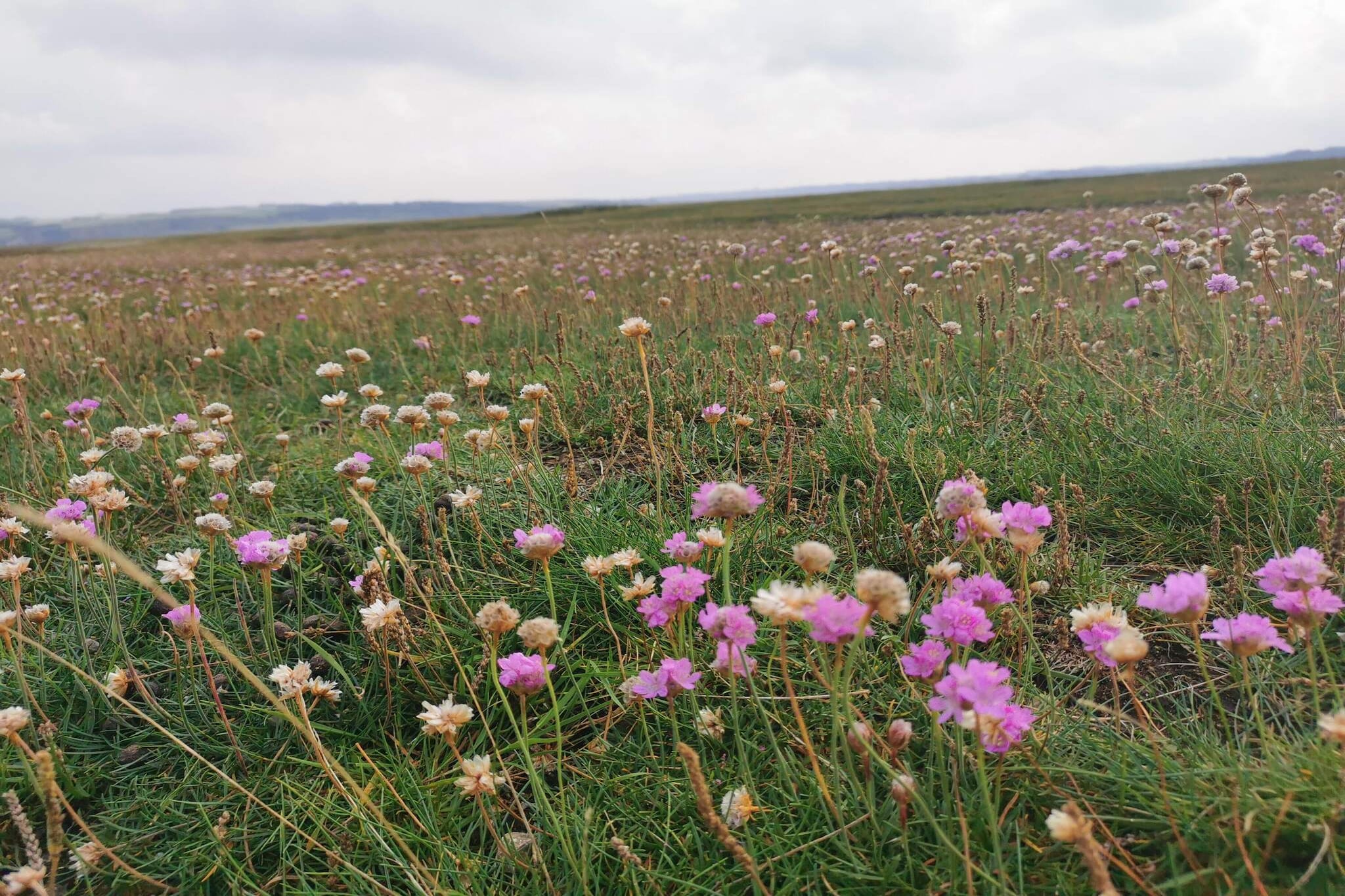 8 Personen Ferienhaus in Lemvig-By Traum-Nicht zugeordnet