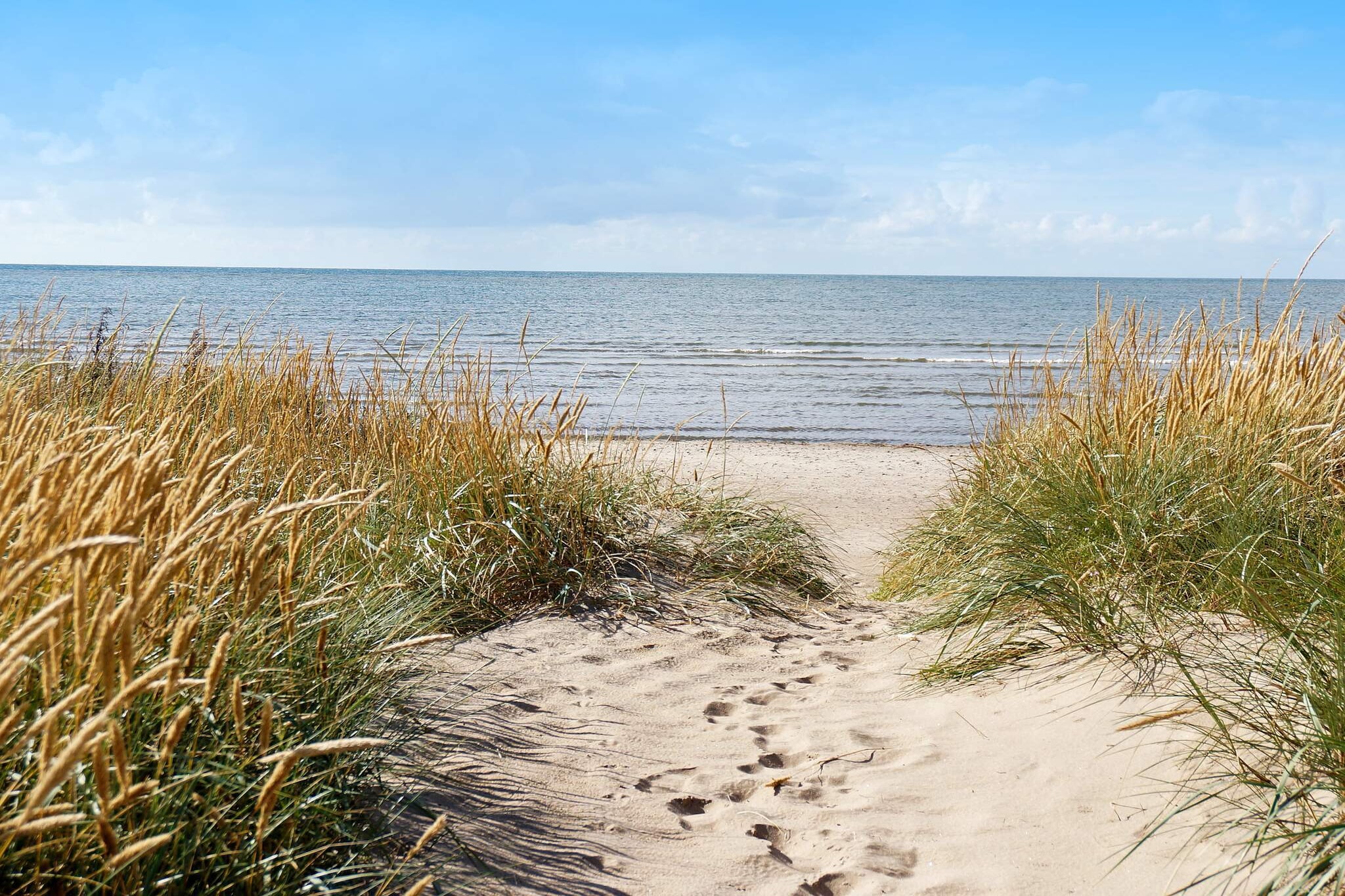 2 persoons vakantie huis in FALKENBERG-By Traum - Waterzicht