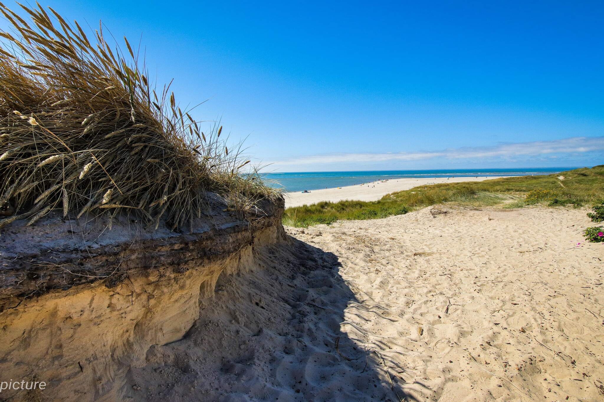 Oase aan zee in Blavand