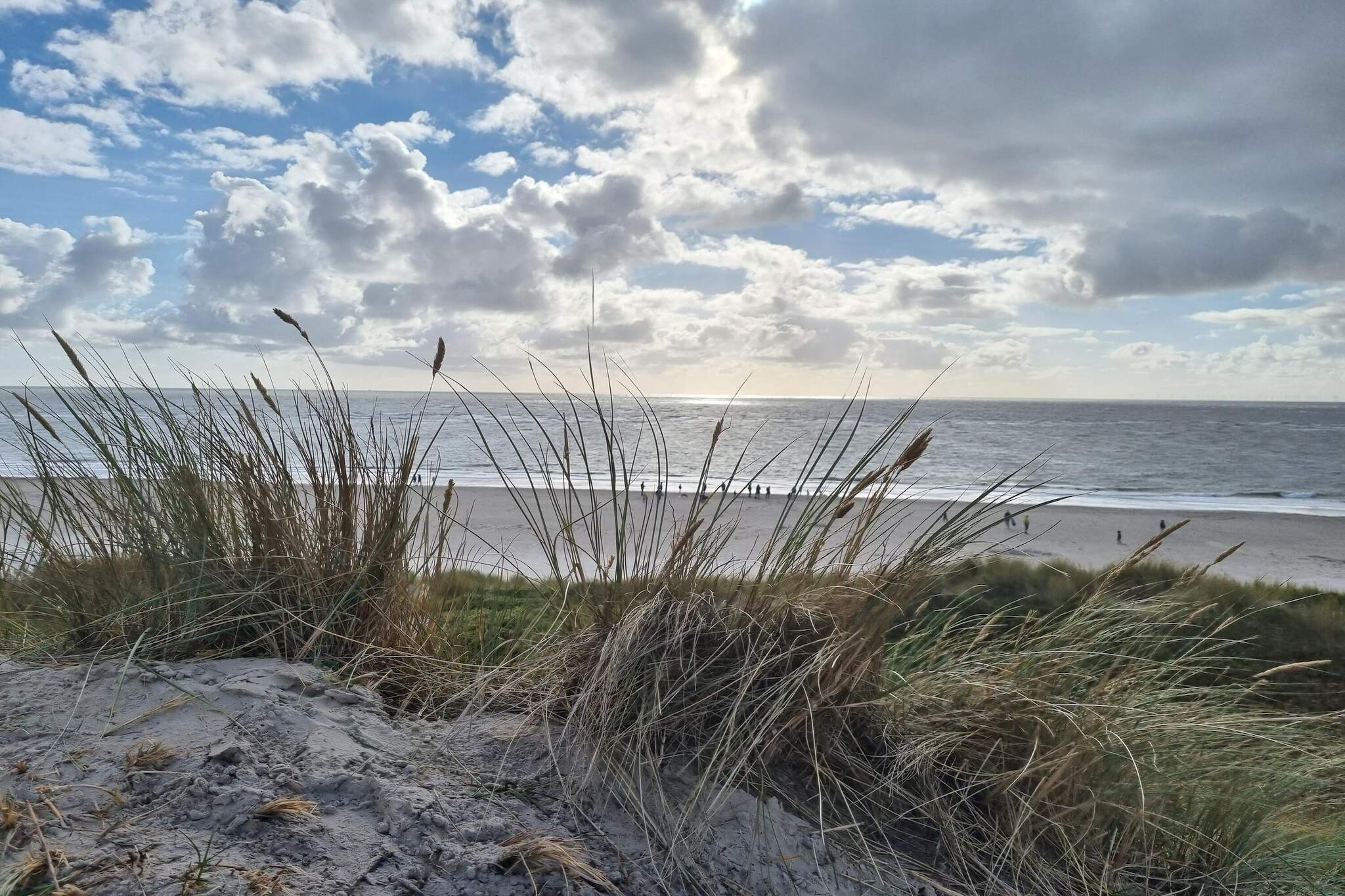 Küstenoase in Blavand