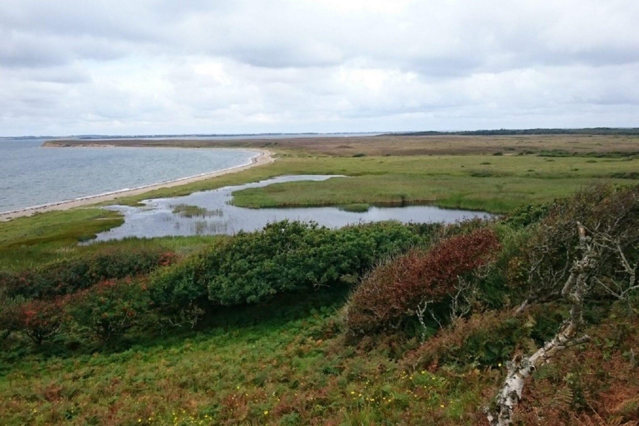 Water View
