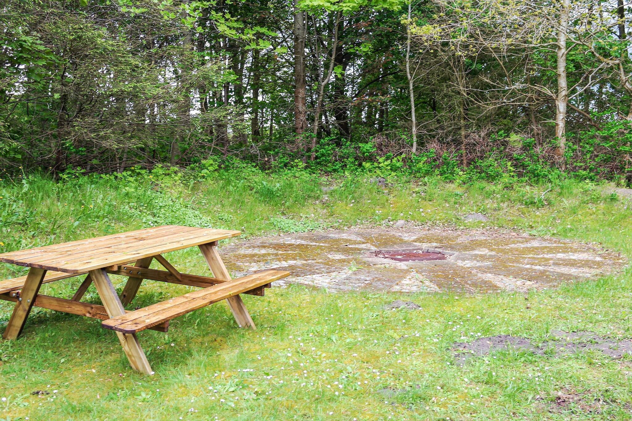6 persoons vakantie huis in Fjerritslev-By Traum