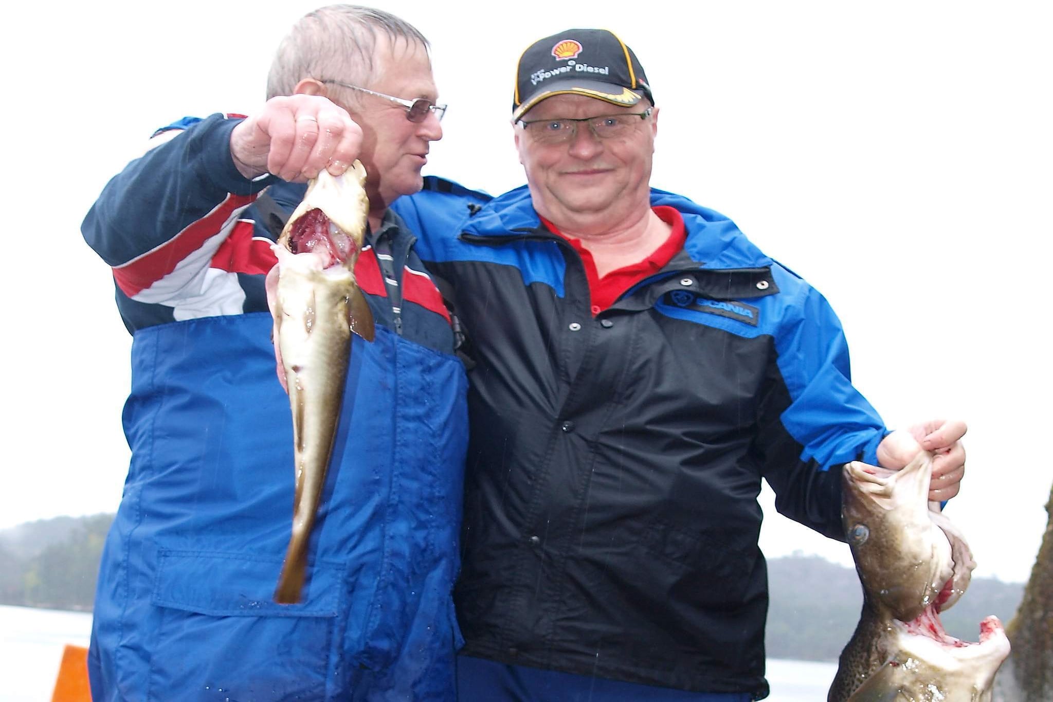 10 persoons vakantie huis in HOSTELAND-By Traum - Niet-getagd