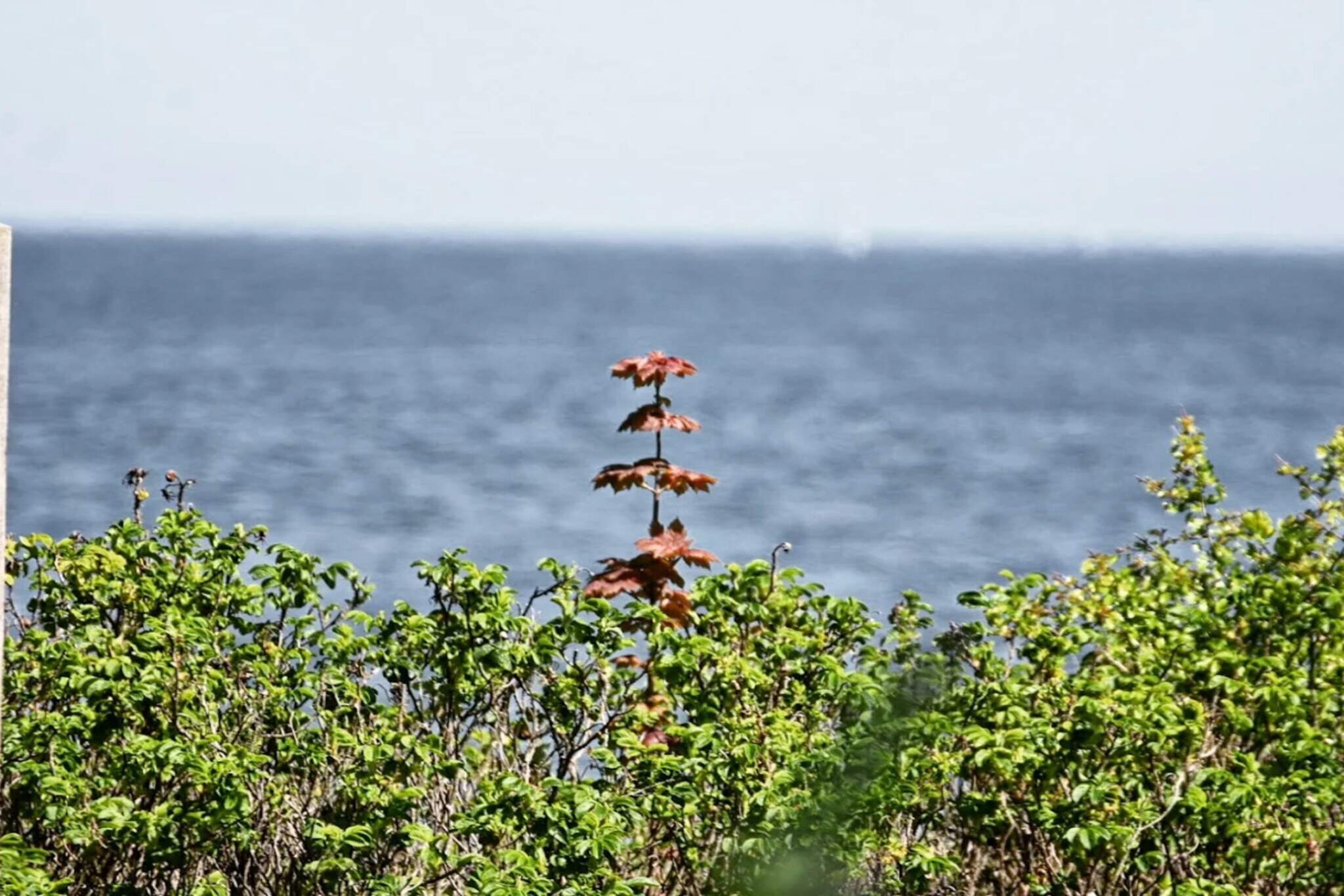 4 persoons vakantie huis in Middelfart-By Traum-Waterzicht