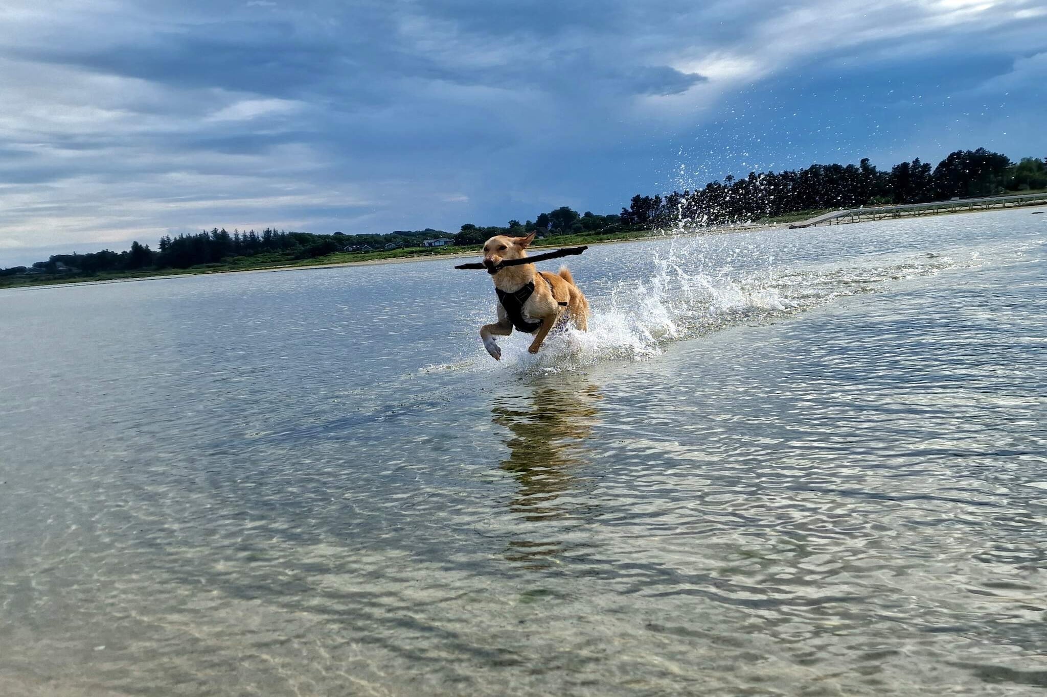 6 persoons vakantie huis in Hadsund-By Traum-Waterzicht