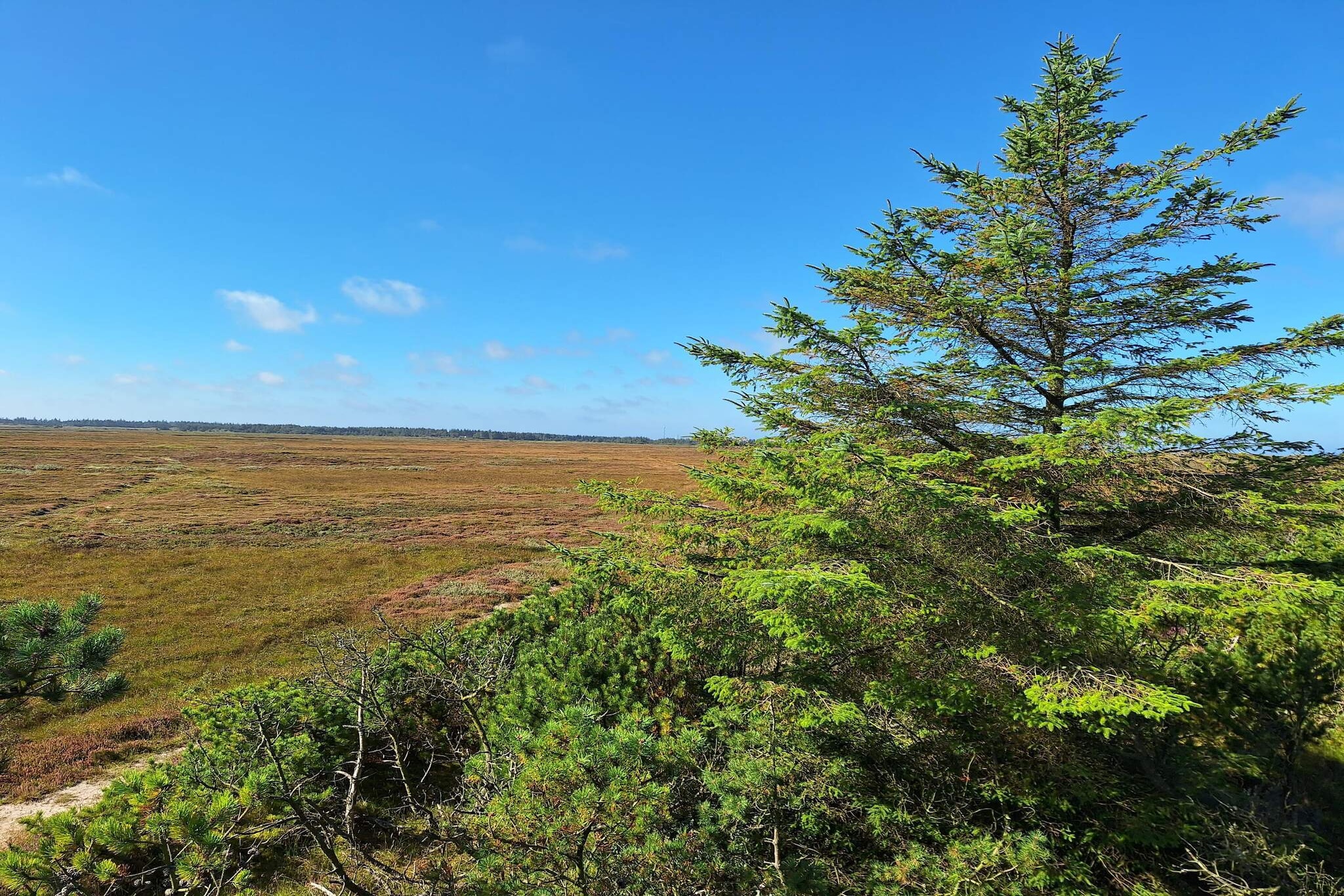 Cozy Retreat with Spa - By Traum Ferienwohnungen-Untagged