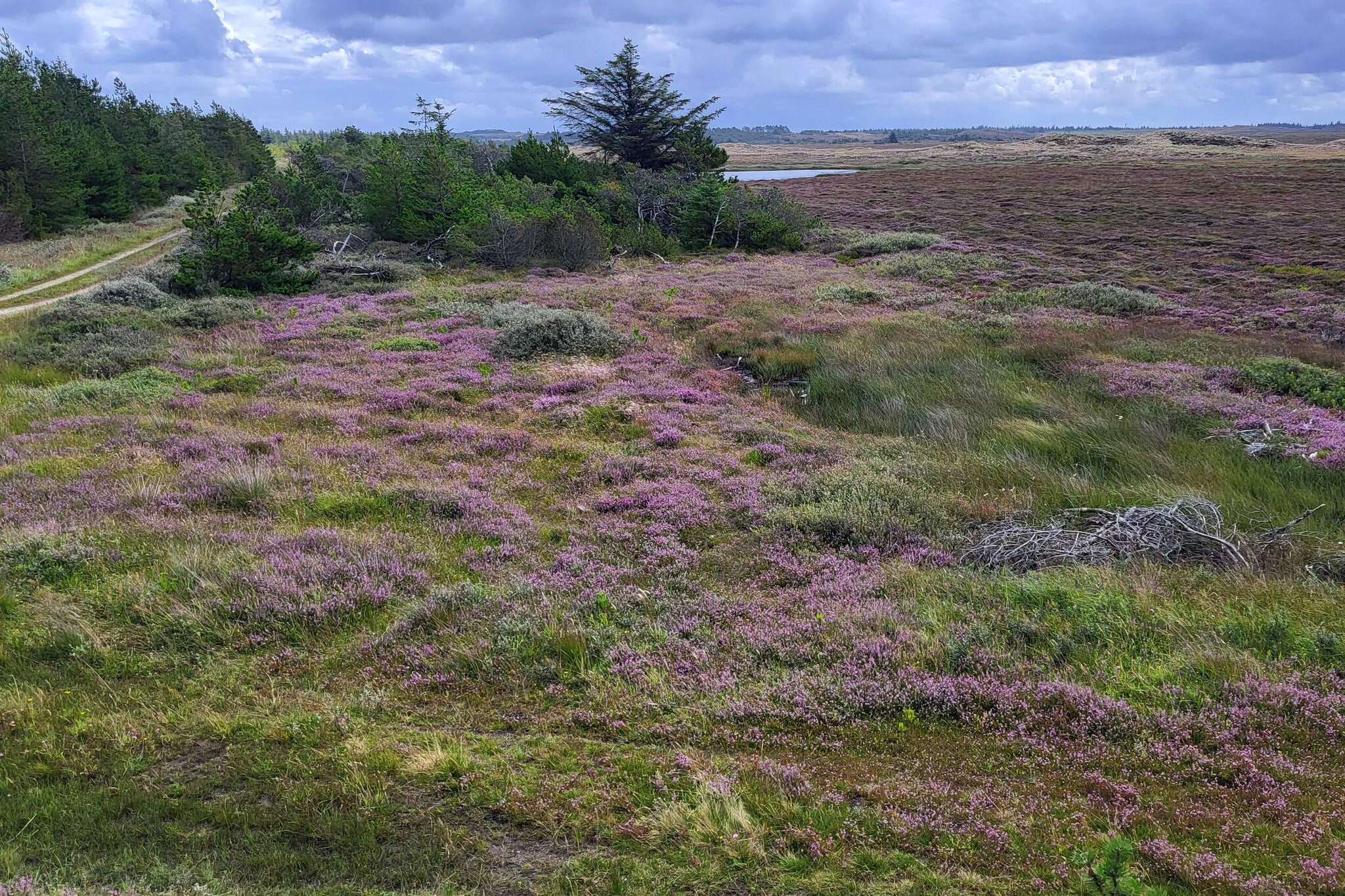Cozy Retreat with Spa - By Traum Ferienwohnungen-Untagged