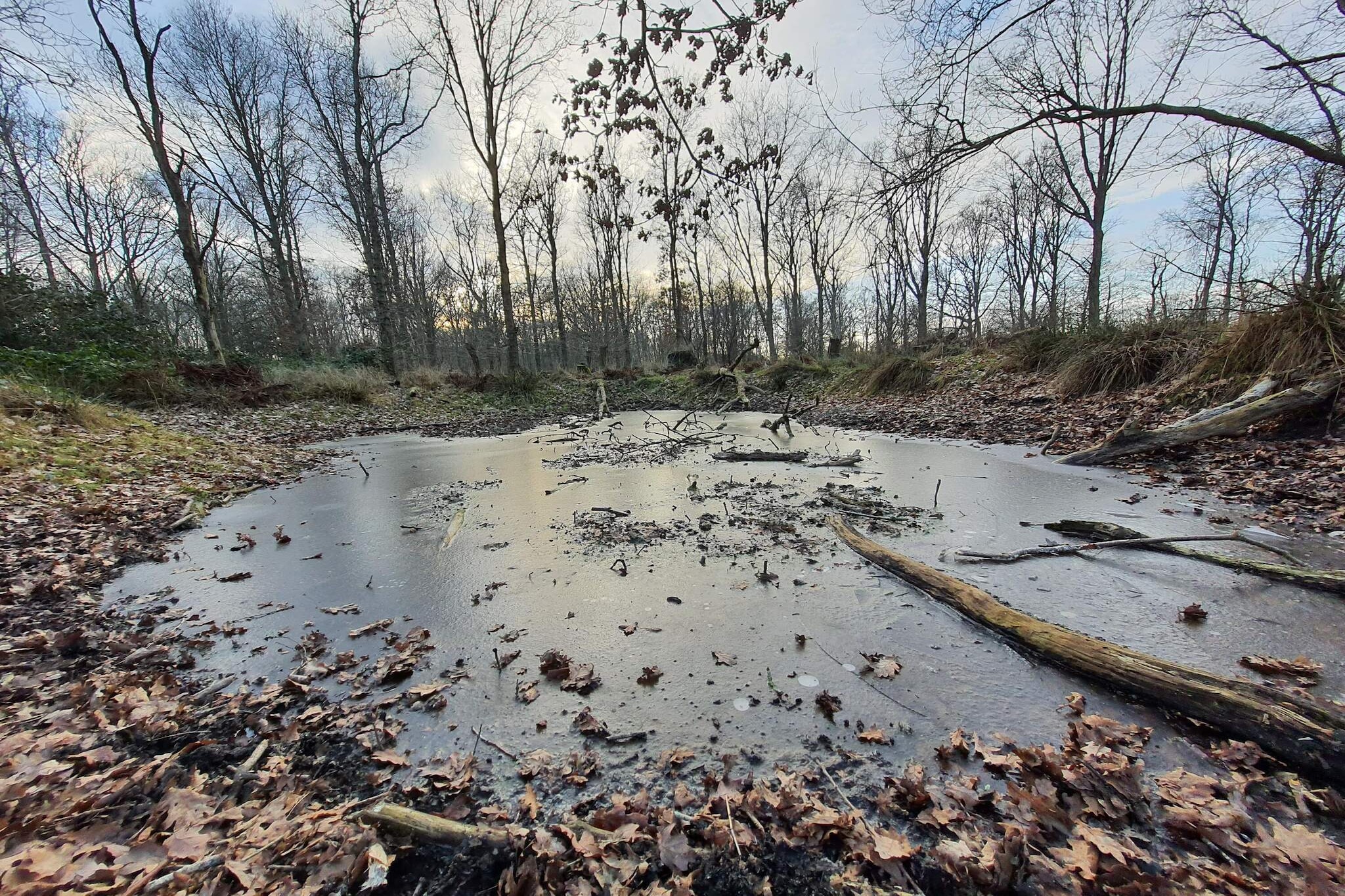 Seaside Gem with Views - By Traum Ferienwohnungen-Untagged