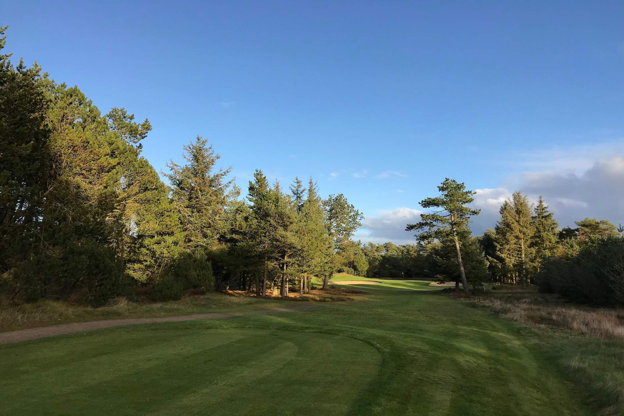 Internet Access DSL, open kitchen(cooker(electric), hood, coffee machine, fridge(+ freezer)), Living/bed room(TV(satellite, german television channels, danish TV channels (DR1 and TV2)), DVD player, CD player, stereo unit), bedroom(double bed), bathroom(floor heating)(bathtub or shower, washbasin, toilet), heating(electric), terrace(60 m2), BBQ, air to air heatpump