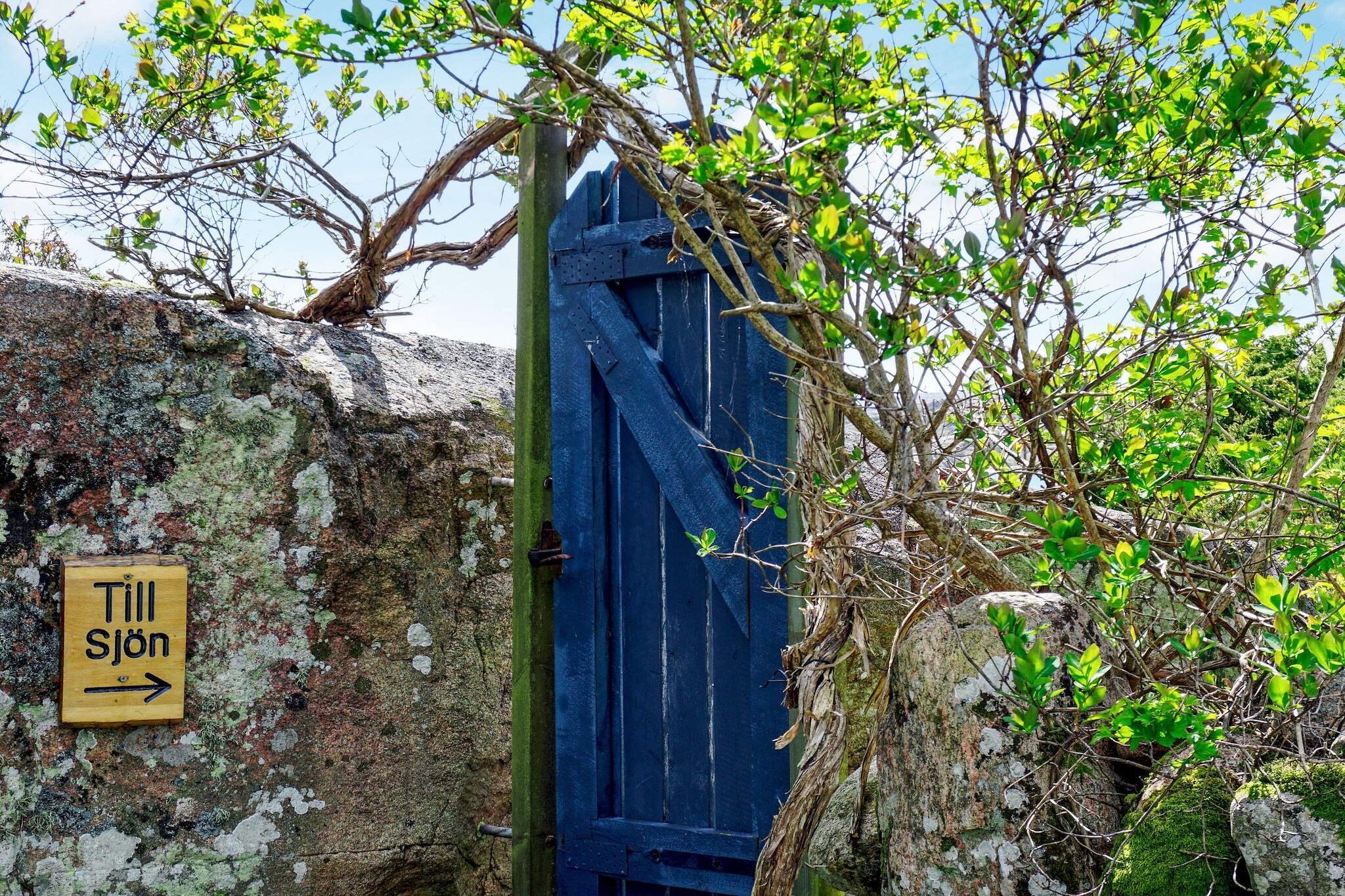4 persoons vakantie huis in HAMBURGSUND-By Traum - Buitenlucht