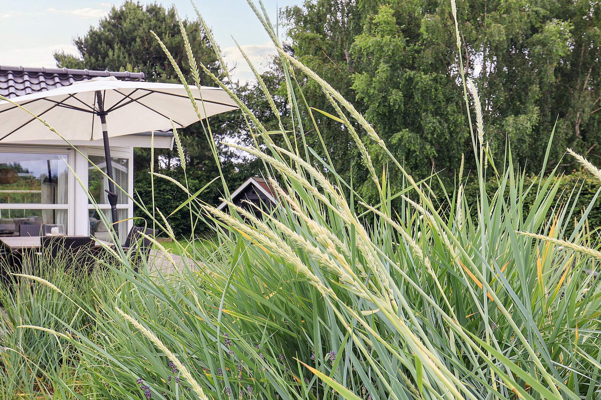 6 persoons vakantie huis in Væggerløse-By Traum - Uitzicht