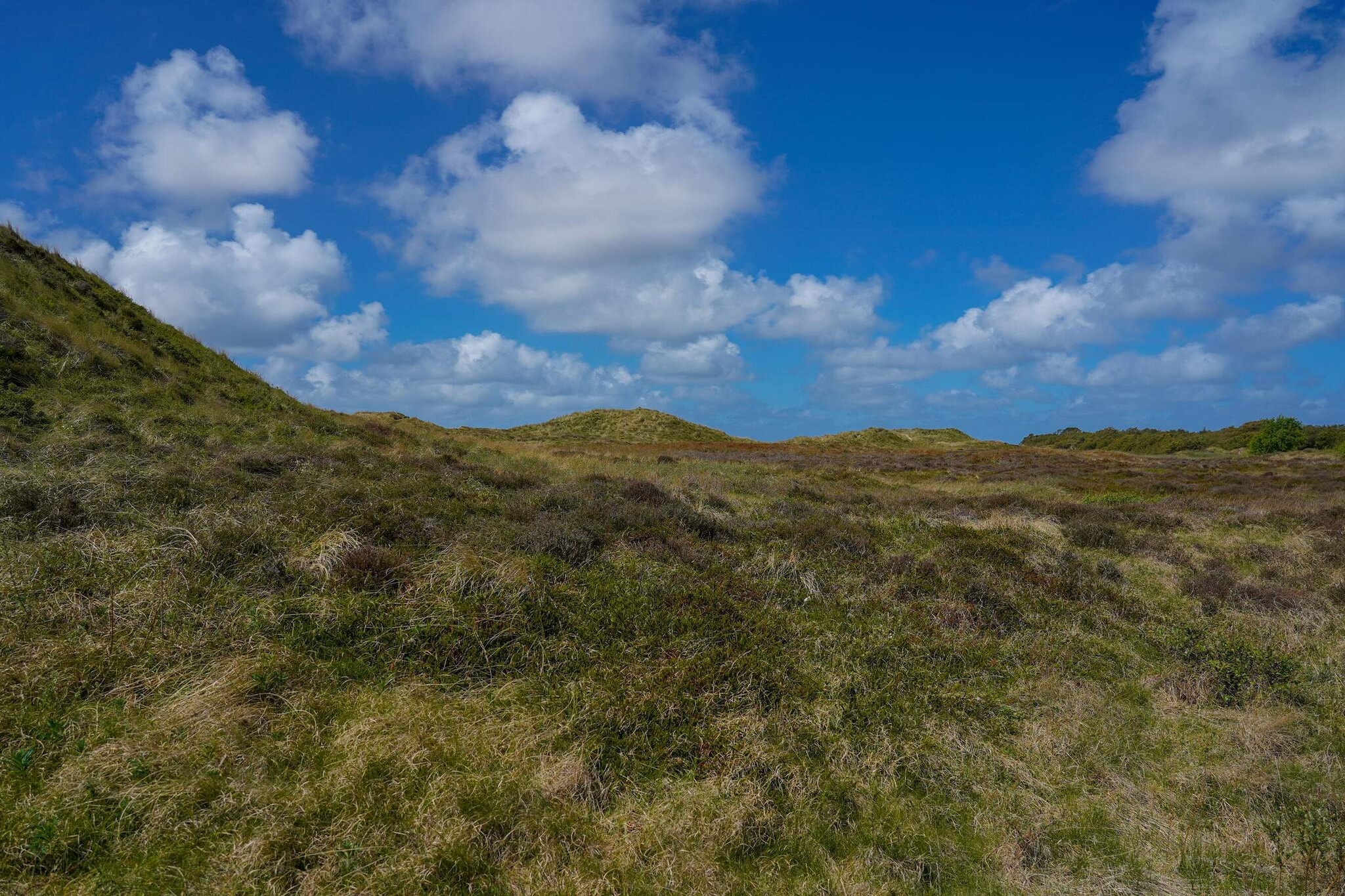6 persoons vakantie huis in Rømø-By Traum-Niet-getagd