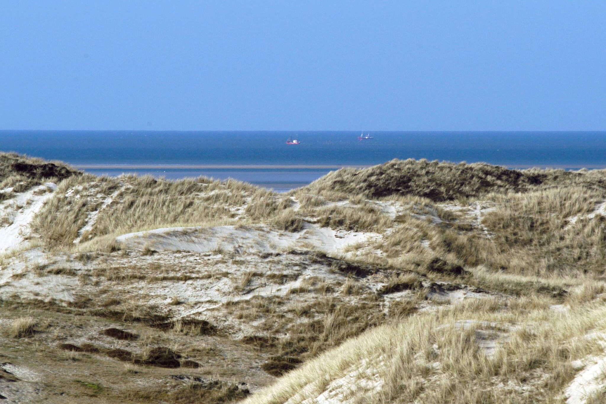 6 persoons vakantie huis in Fanø-By Traum - Uitzicht