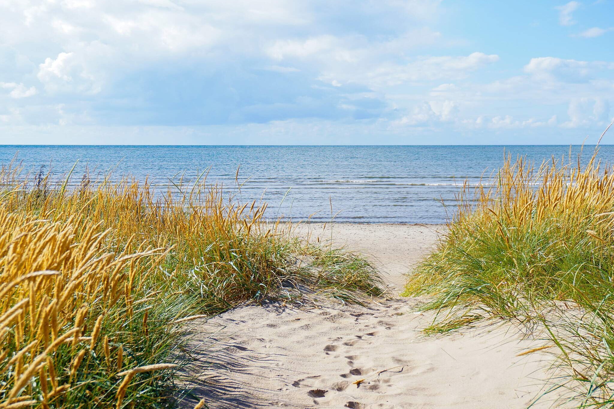 4 persoons vakantie huis in FALKENBERG-By Traum - Niet-getagd