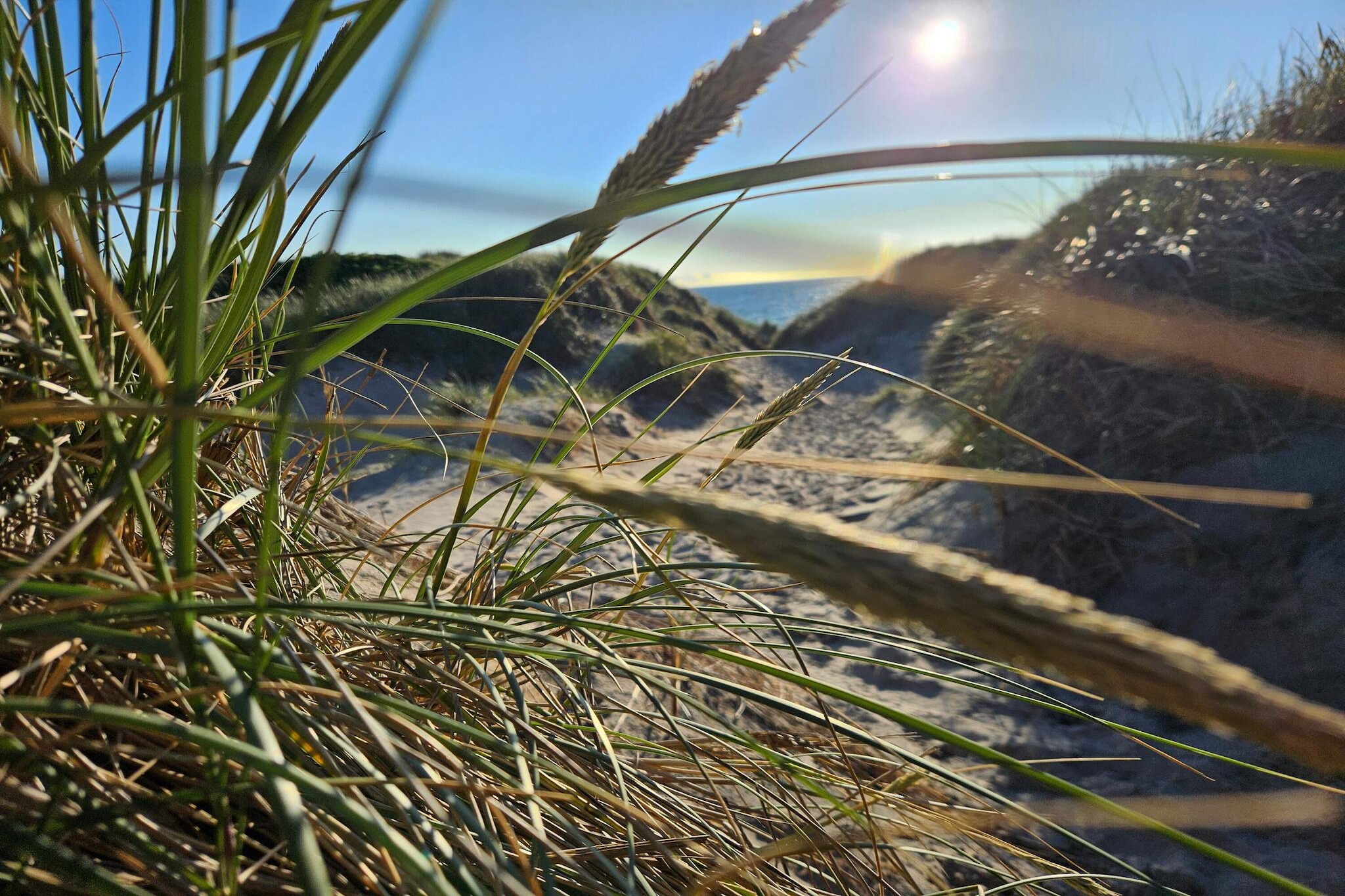 Kustgeluk in Lynderup -- By Traum Ferienwohnungen