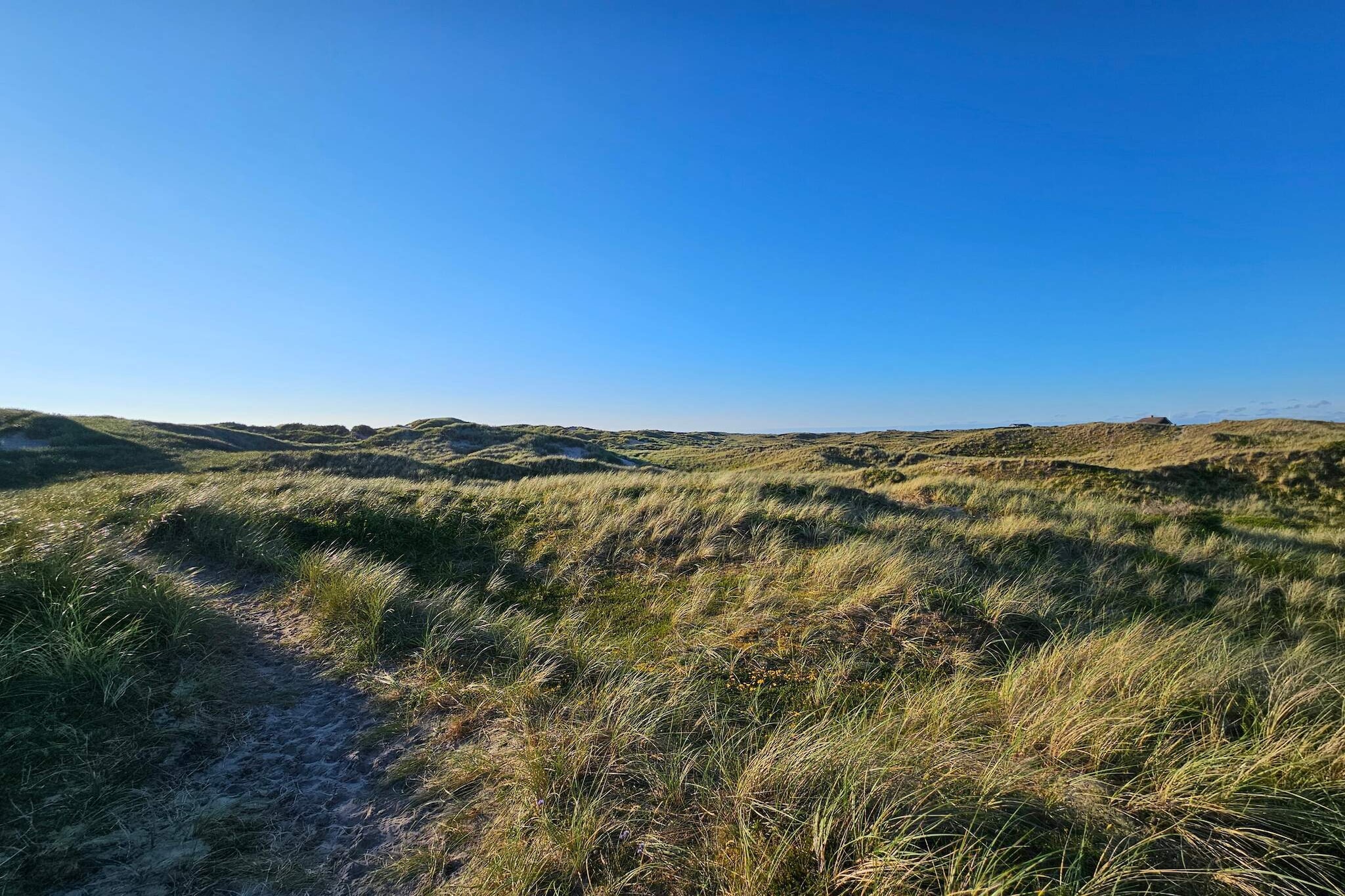 Heerlijk genieten van de zee in Lynderup - Niet-getagd