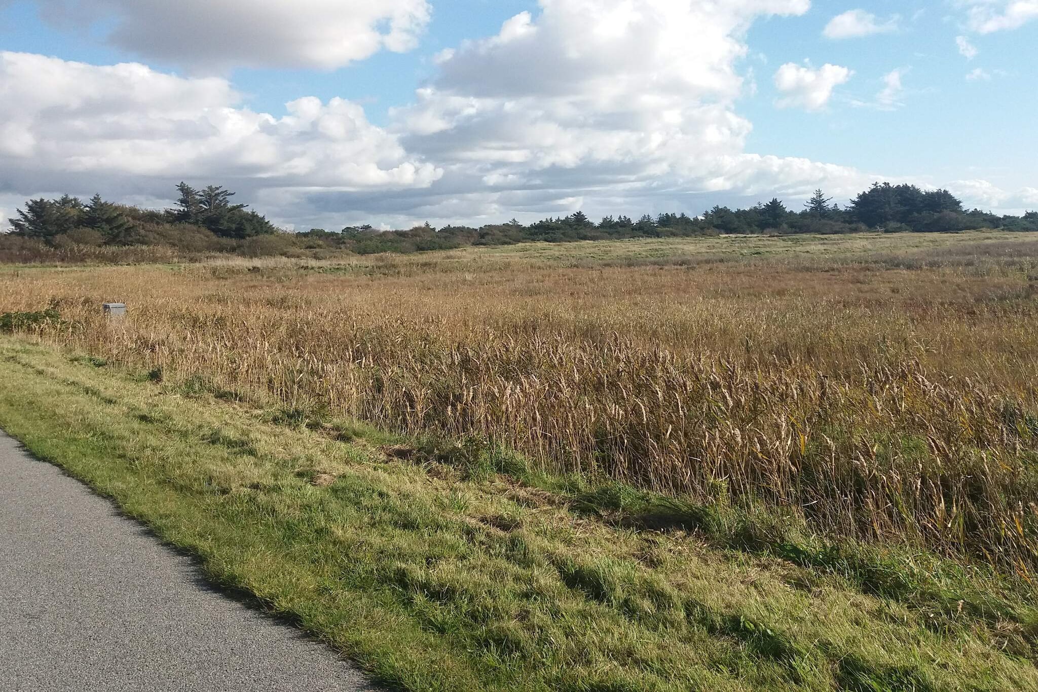 Heerlijk genieten van de zee in Lynderup - Niet-getagd