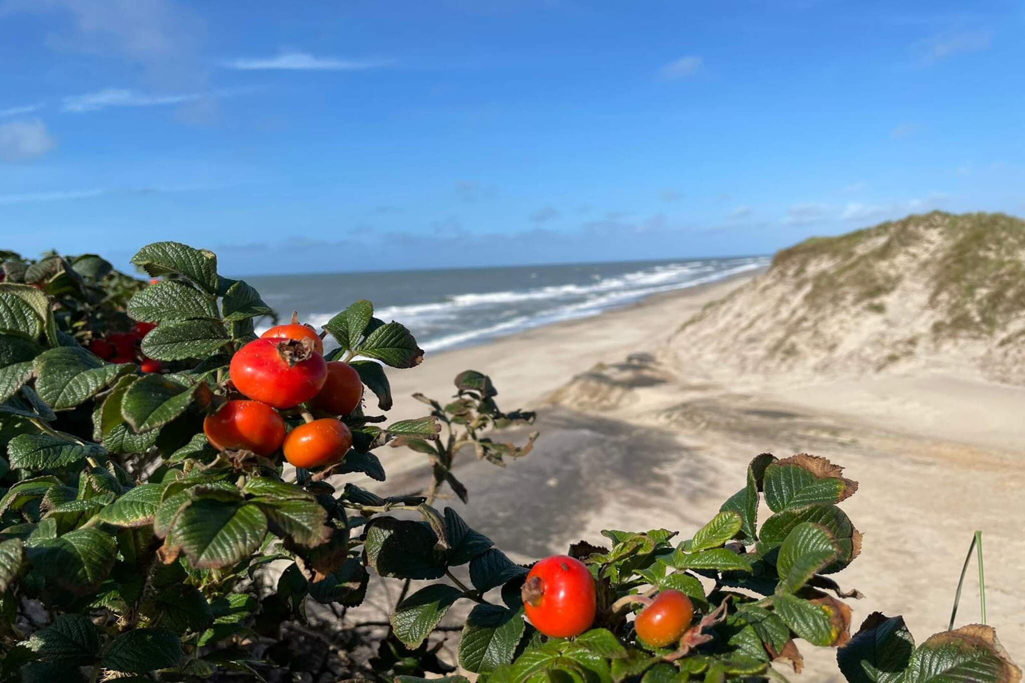 Heerlijk genieten van de zee in Lynderup - Waterzicht