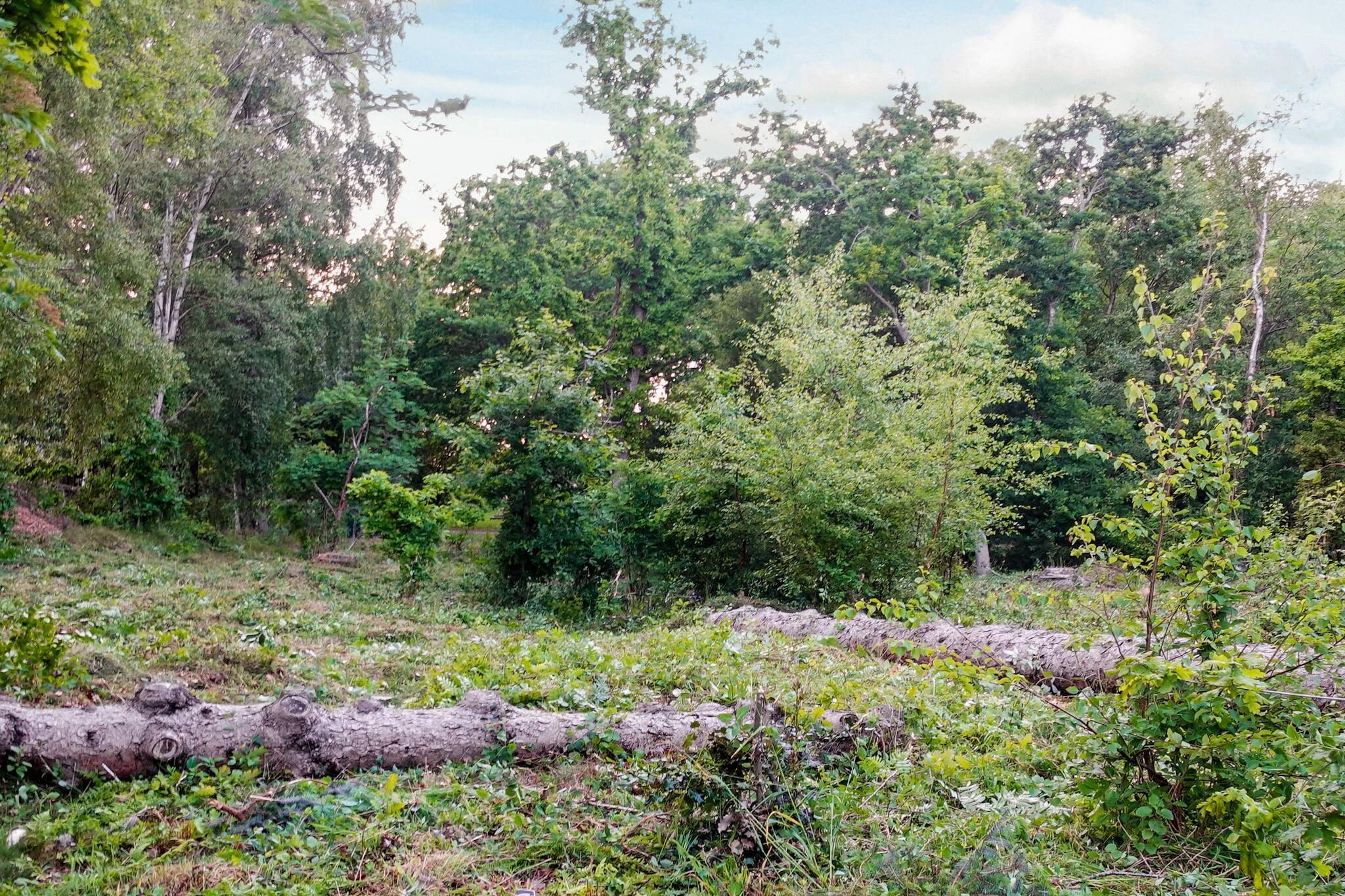6 persoons vakantie huis in Hadsund-By Traum-Niet-getagd