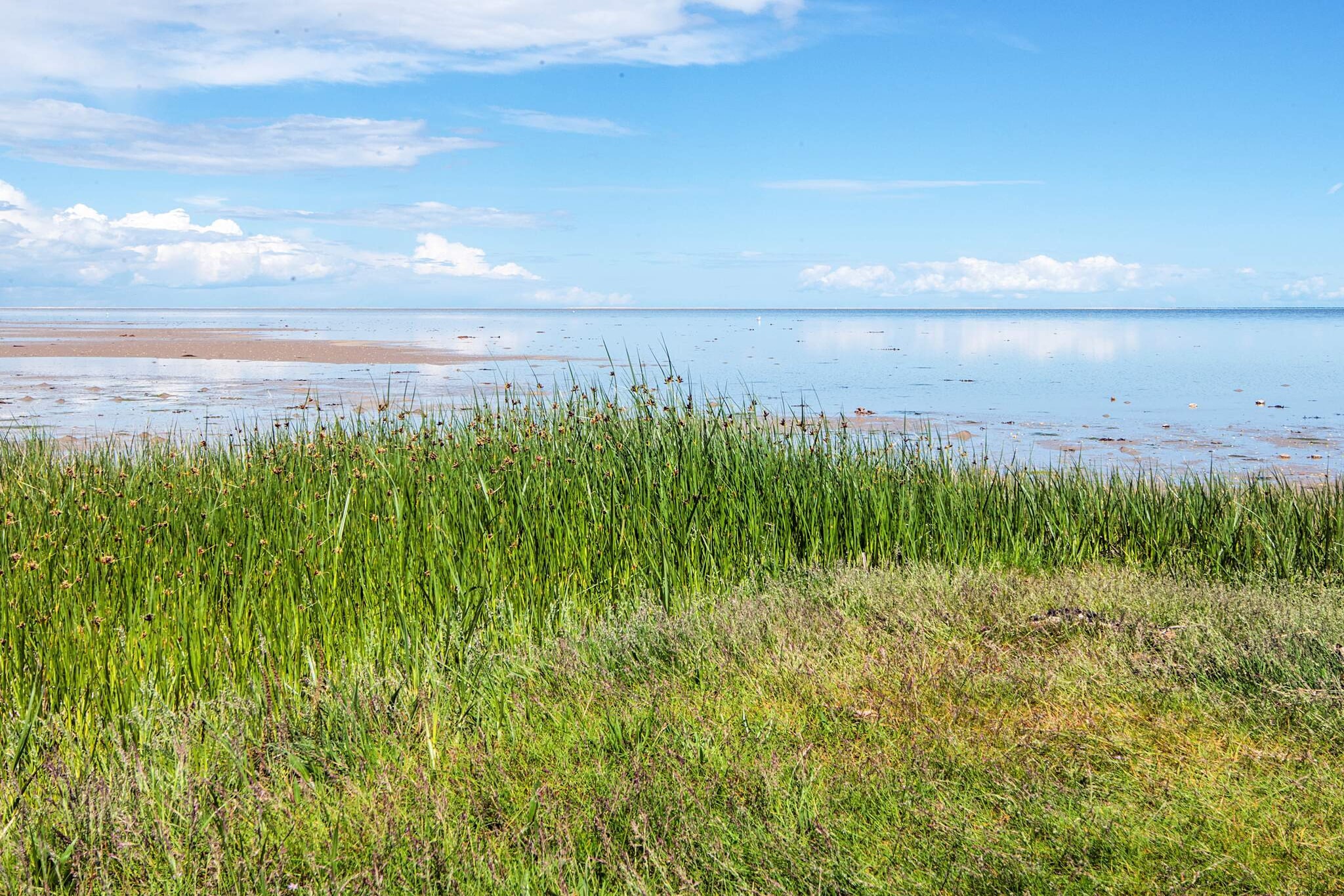 6 persoons vakantie huis in Hadsund-By Traum - Niet-getagd