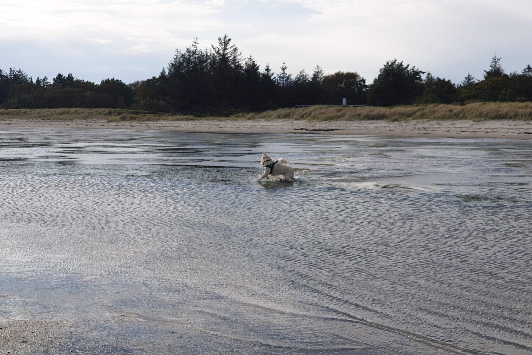 Luxe strandhuis met spa -- By Traum Ferienwohnungen-Waterzicht