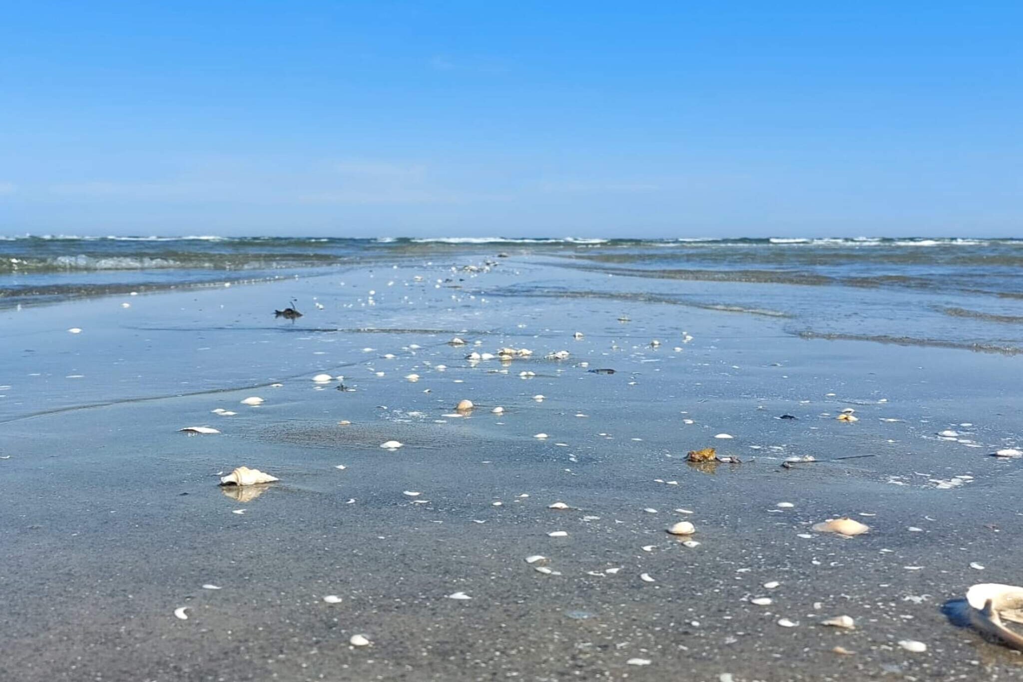 8 persoons vakantie huis in Hals-By Traum - Waterzicht