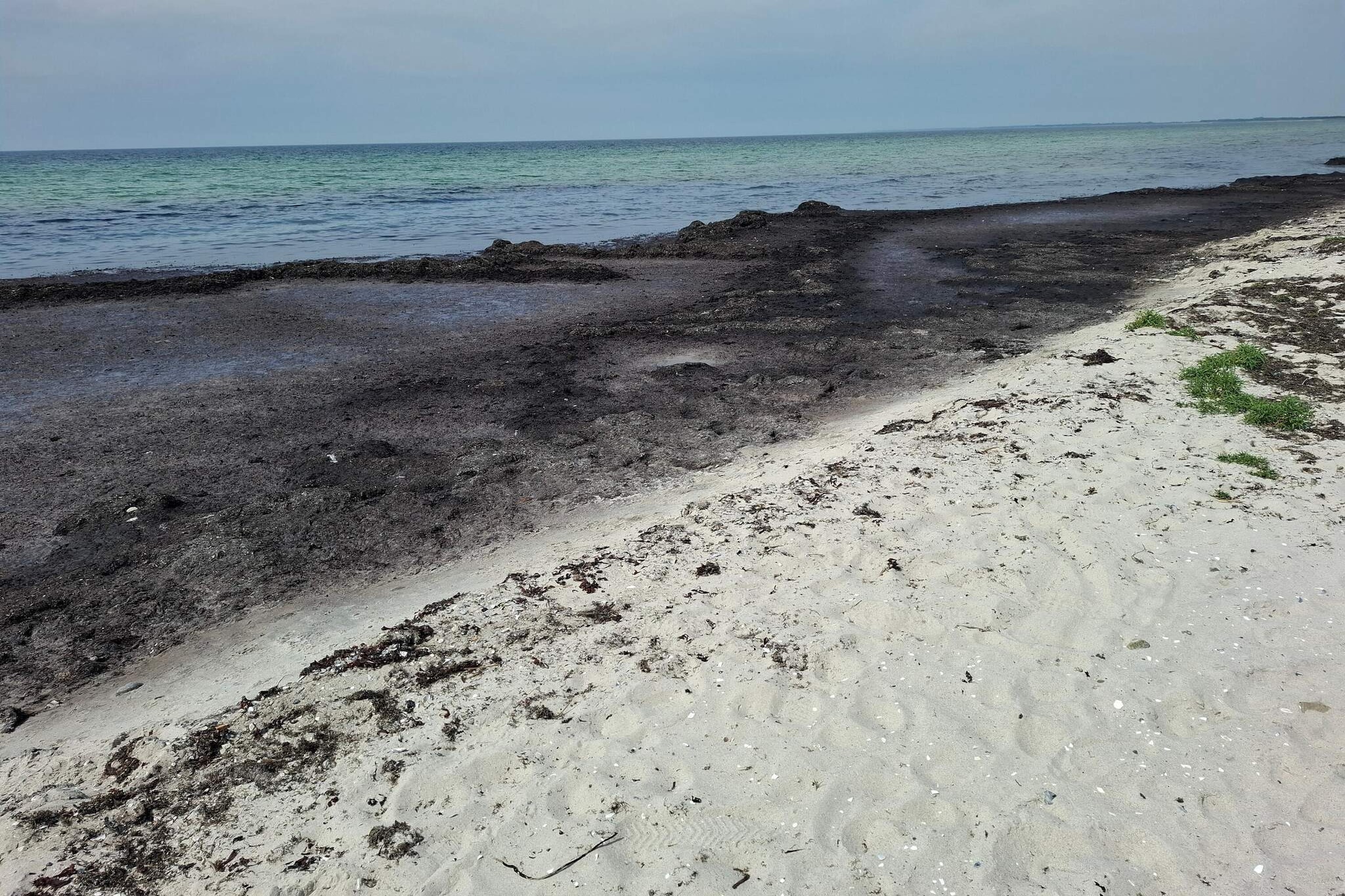 8 persoons vakantie huis in Rødby-By Traum - Waterzicht