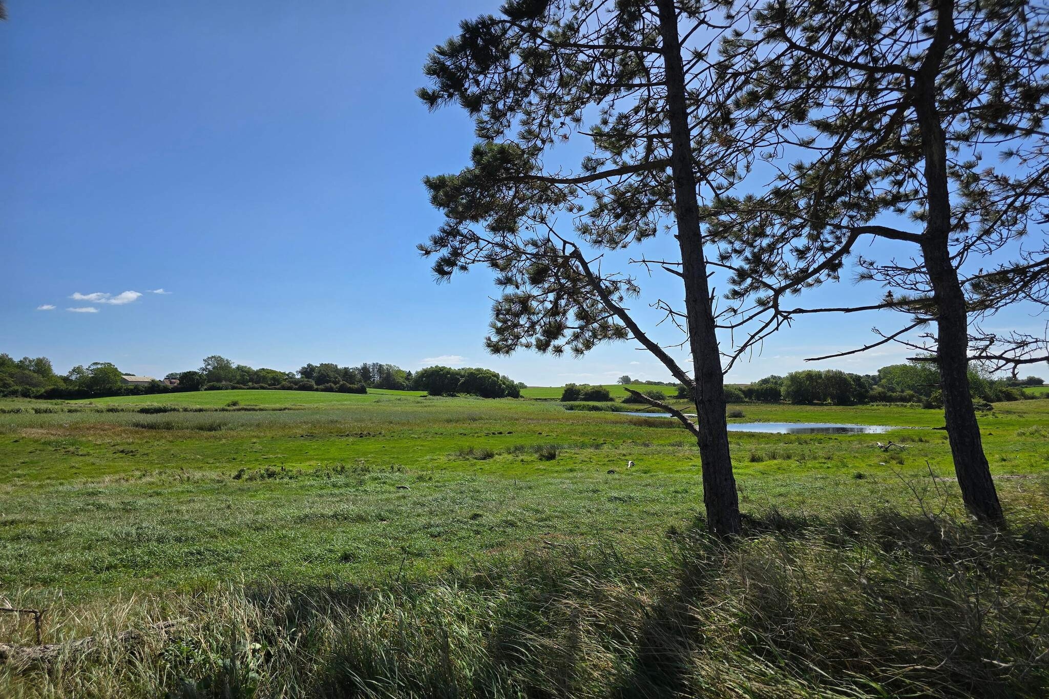 Luxuriöses Pool-Refugium in Kegnaes - Nicht zugeordnet
