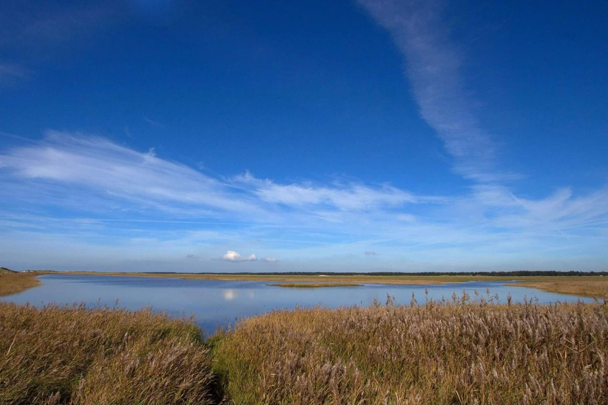 8 persoons vakantie huis in Blåvand-Waterzicht