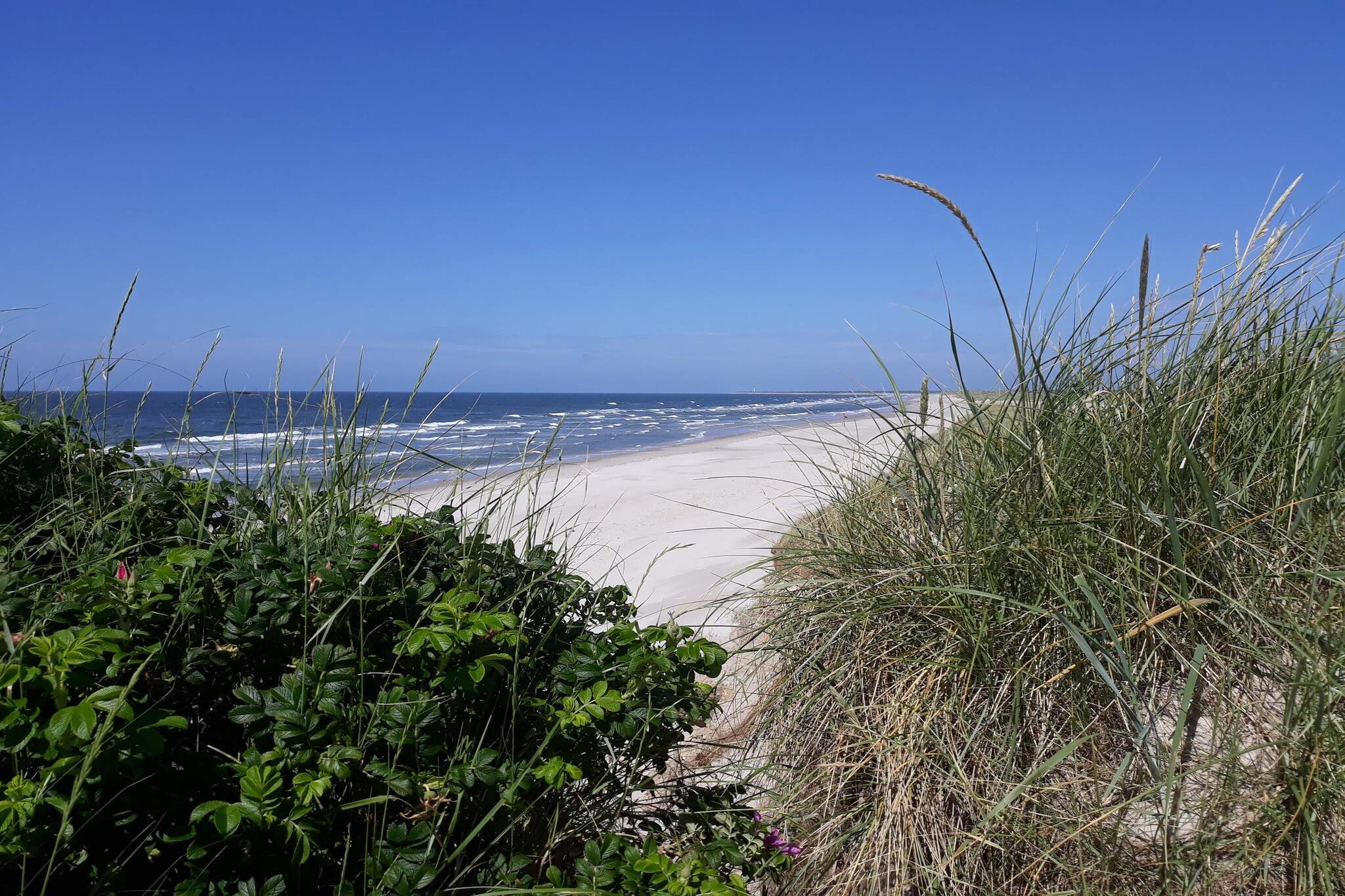 8 persoons vakantie huis in Blåvand - Waterzicht