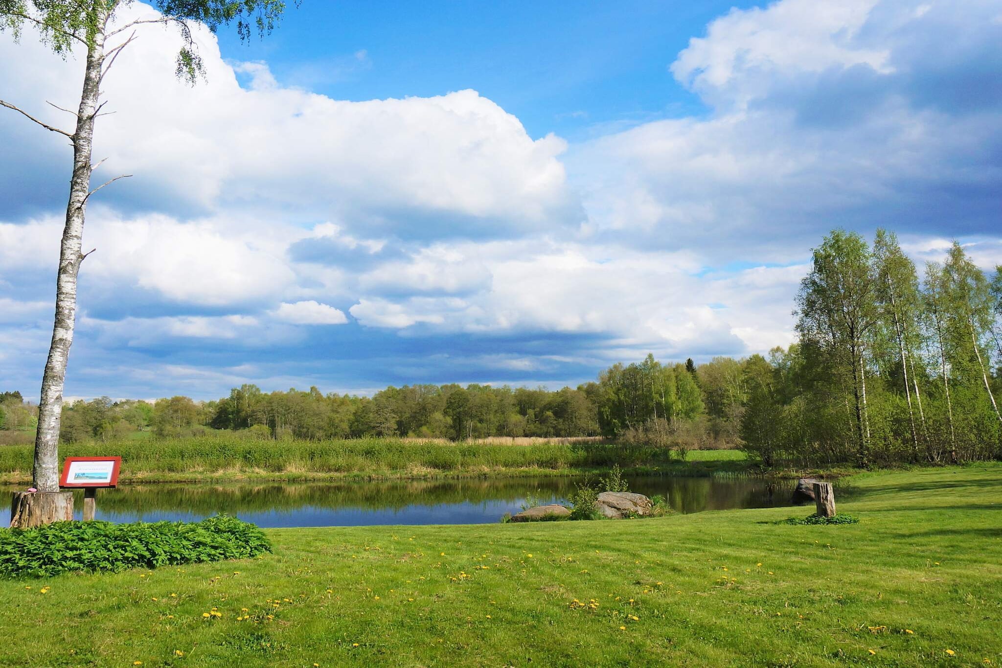 Water View
