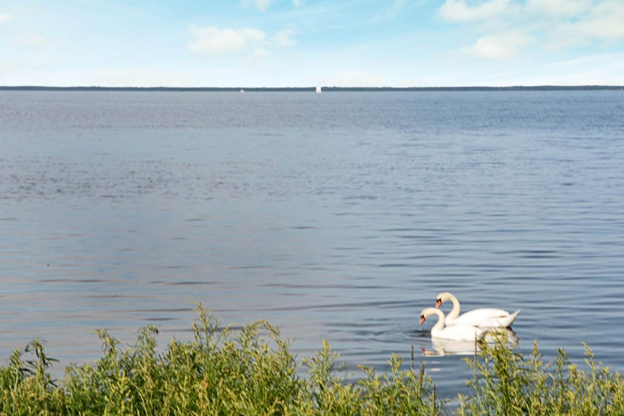 10 Personen Ferienhaus in Mörbylånga-By Traum - Wasserblick