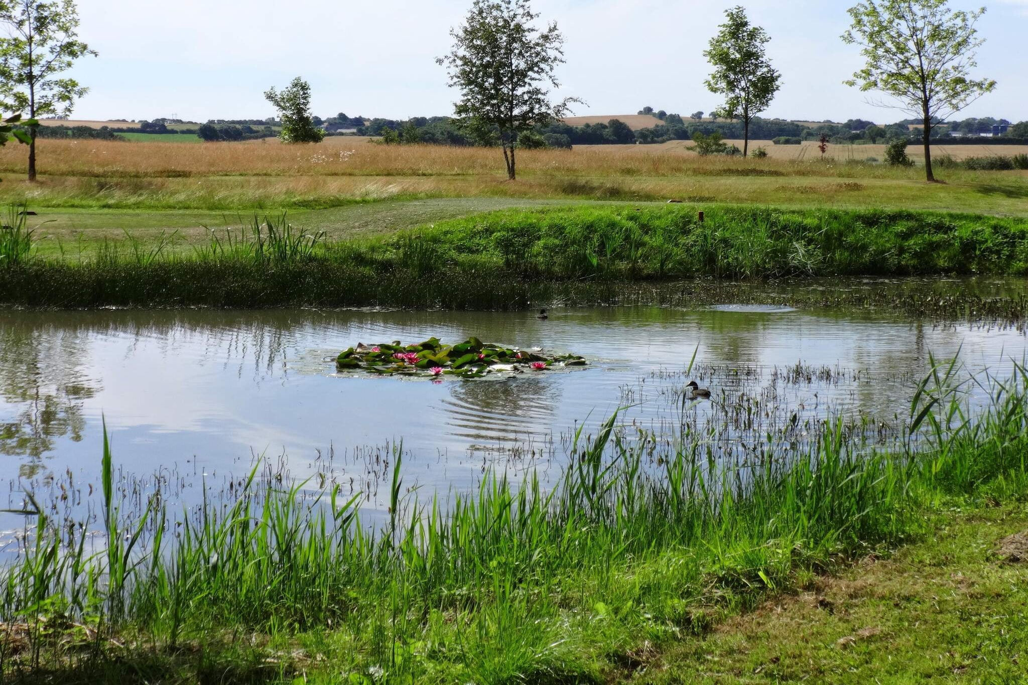 Ruhiger Rückzugsort in Mommark