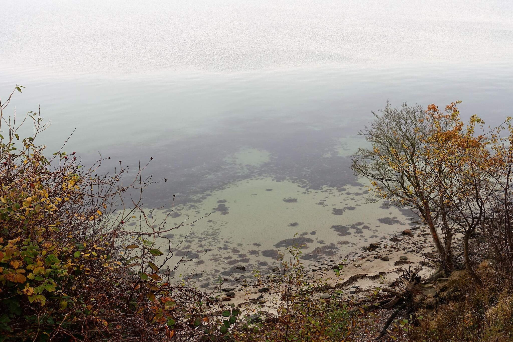 Rustig toevluchtsoord in Mommark - Waterzicht