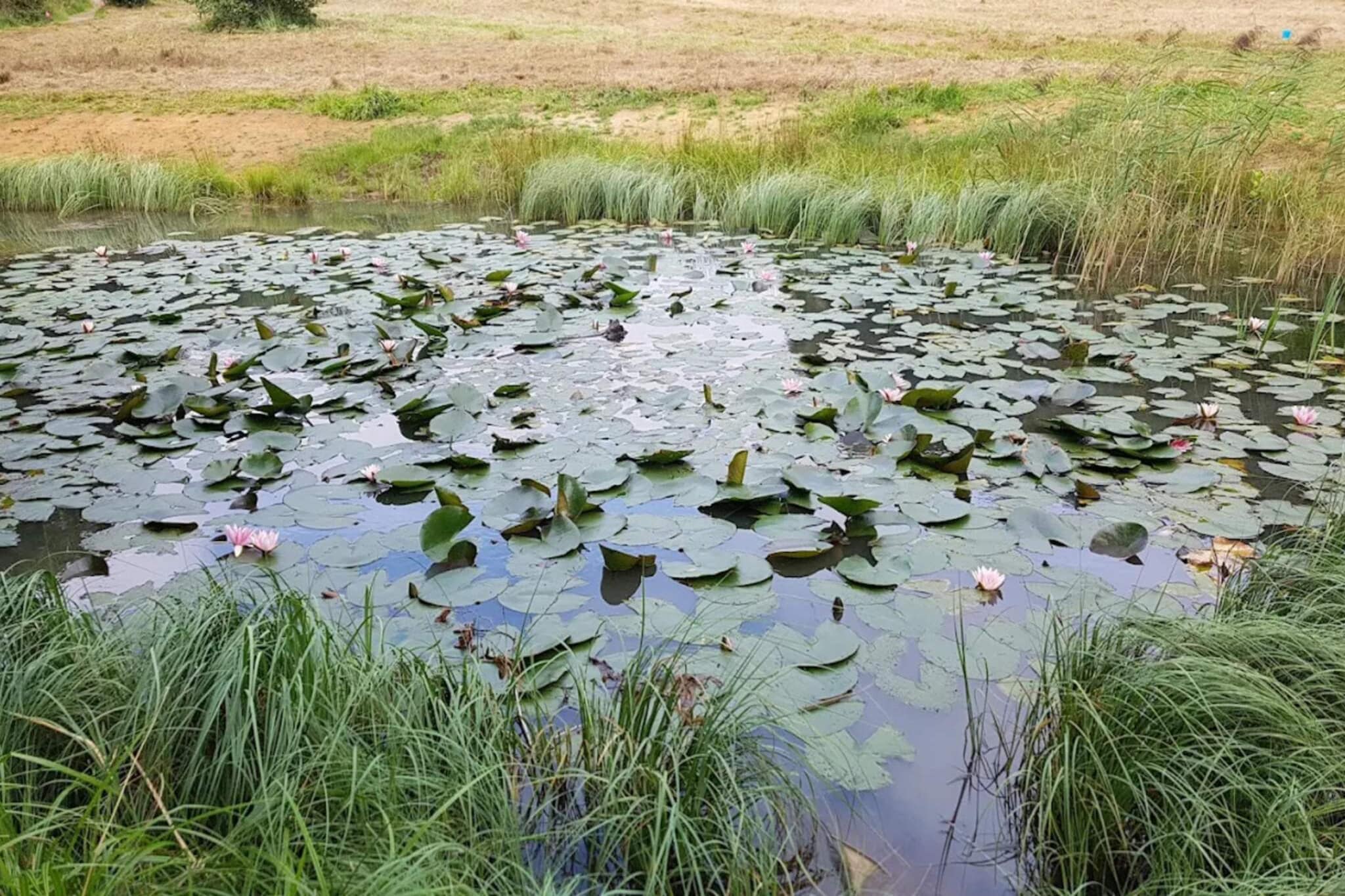 8 persoons vakantie huis in Sjølund-By Traum-Waterzicht