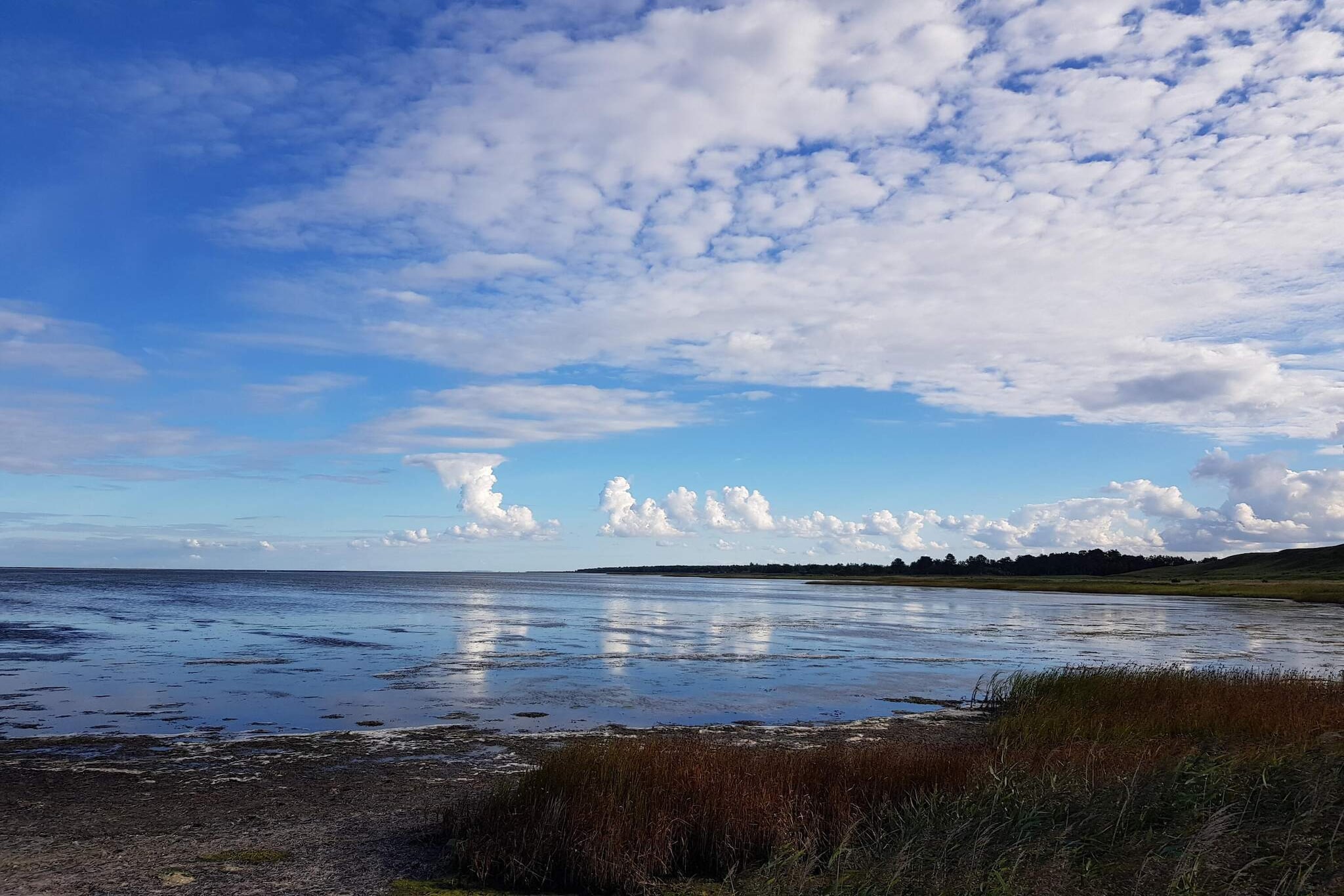 8 persoons vakantie huis in Hadsund-By Traum - Waterzicht