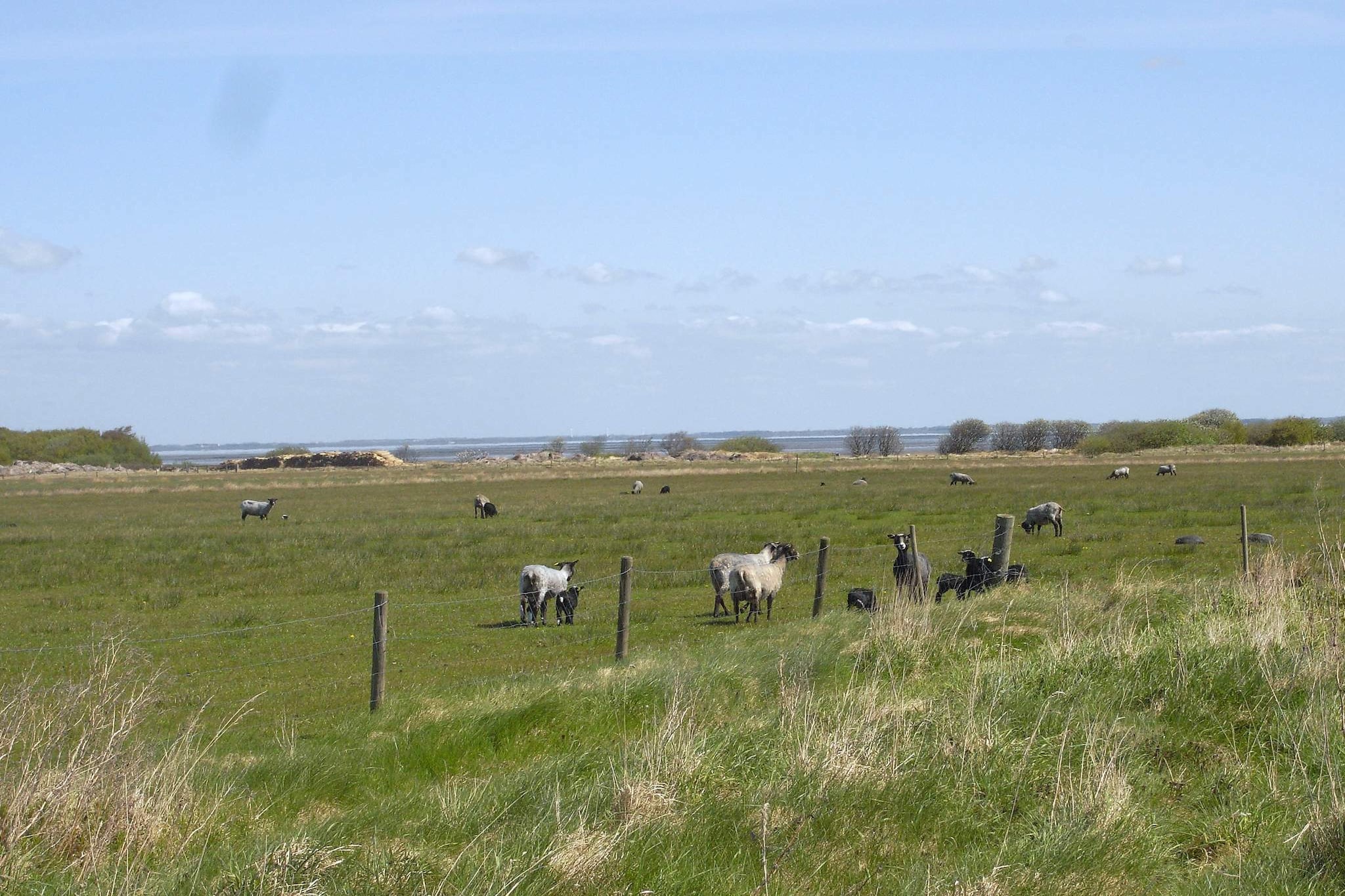 Seaside Charm in Sonderho - By Traum Ferienwohnungen