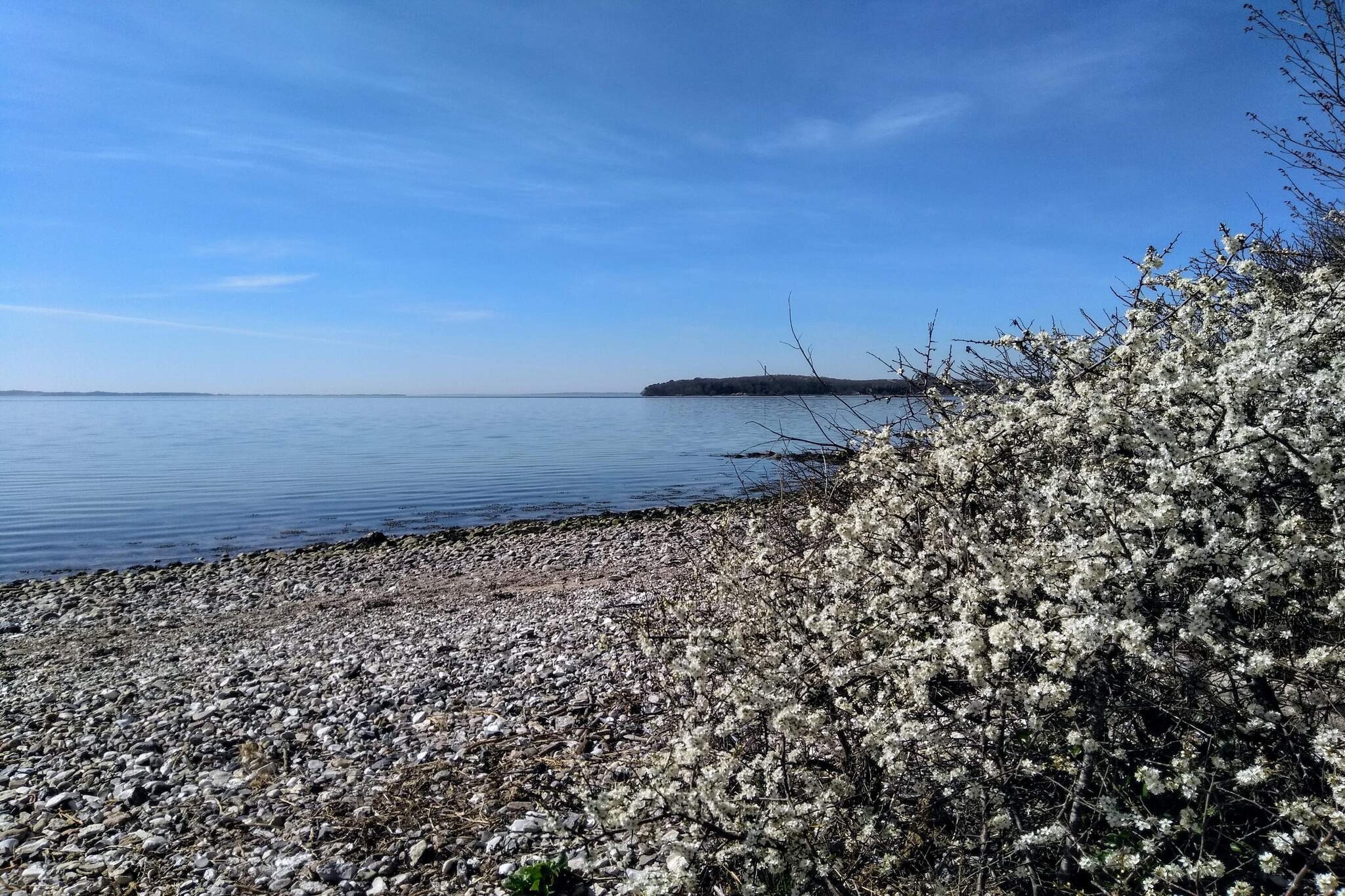 Maison de vacances pour 6 a Rønde-By Traum - Vue sur l'eau