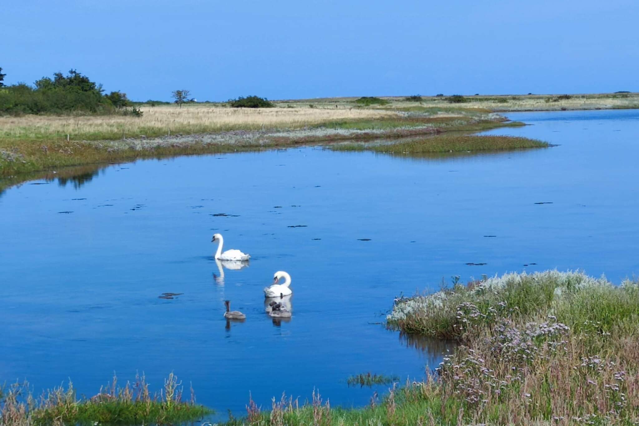 4 Personen Ferienhaus in Martofte-By Traum-Wasserblick