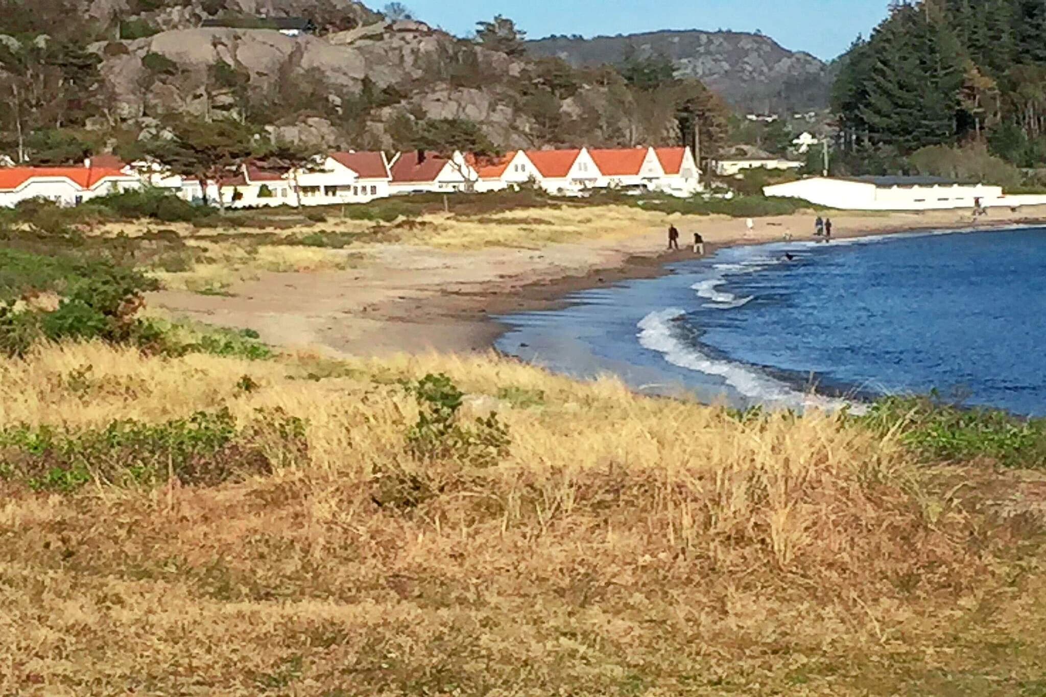 dining room, open kitchen(10 m2)(cooker(electric), hood, coffee machine(filter), dishwasher, fridge, washing machine, high chair), Living/bed room(20 m2)(TV(satellite), radio), bedroom(double bed, cot), bedroom(double bed), bedroom(2x bunk bed), bedroom(2x bunk bed), bathroom(floor heating)(washbasin, shower, toilet), heating(electric), terrace(15 m2), terrace(roofed, 15 m2), garden, garden furniture, BBQ, parking