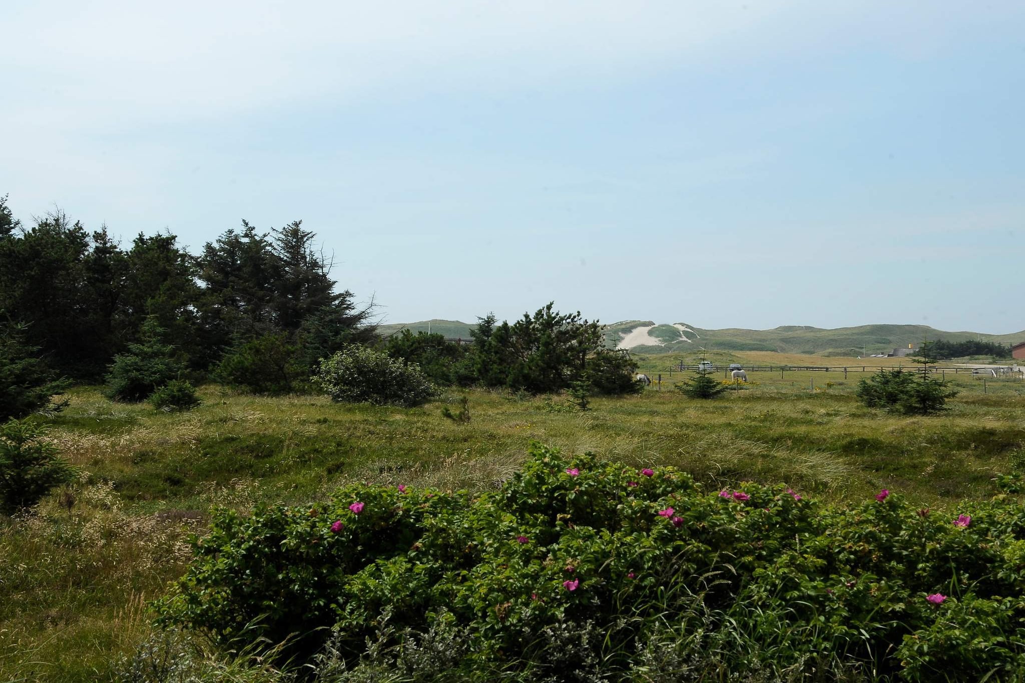 Gezellig strandhuis -- By Traum Ferienwohnungen - Uitzicht