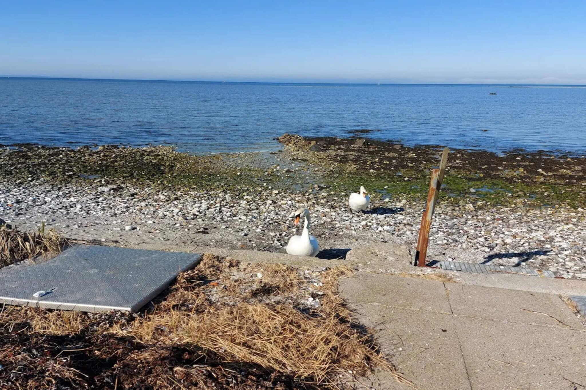 BOGENSE MARINAPARK - Wasserblick