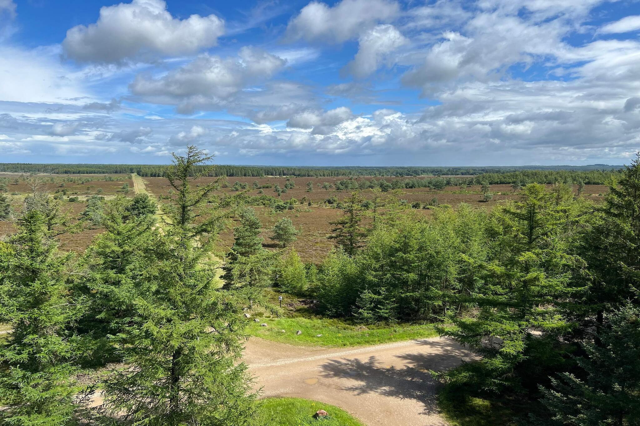 4 person holiday home in Hovborg-By Traum-Untagged